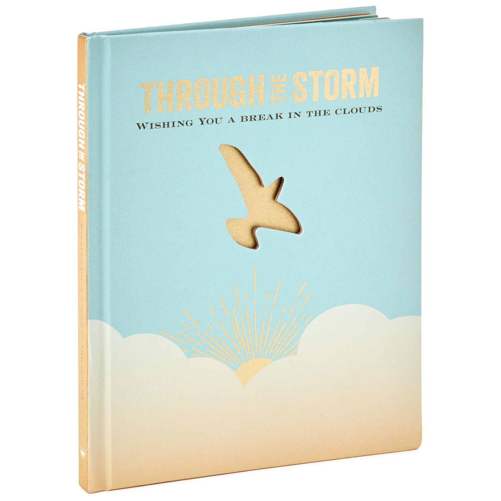 Through-the-Storm-Wishing-You-a-Break-in-the-Clouds-Book-root-1BOK1413_BOK1413_1470_1.jpg_Source_Image.jpg
