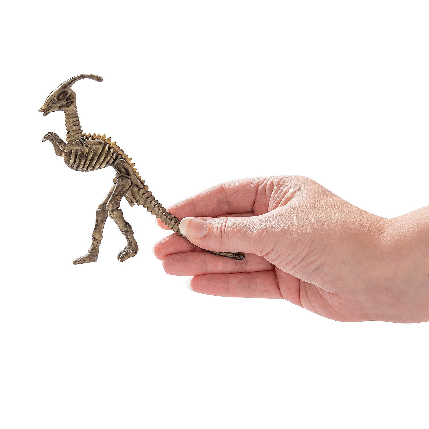 dino-mite-dinosaur-skeletons-12-pc-_58_8-a01