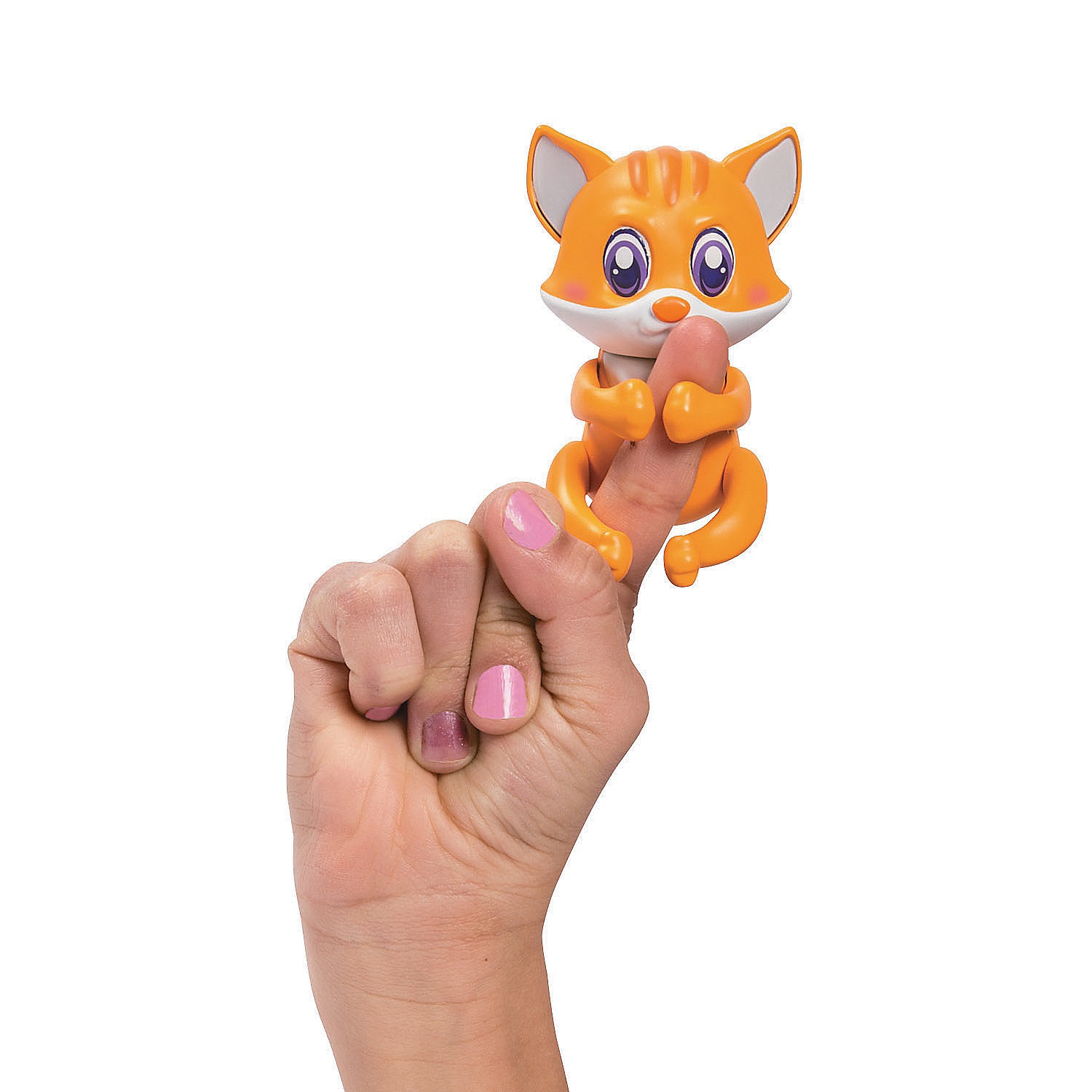 friendlies-gizmo-the-cat_13811810-a01