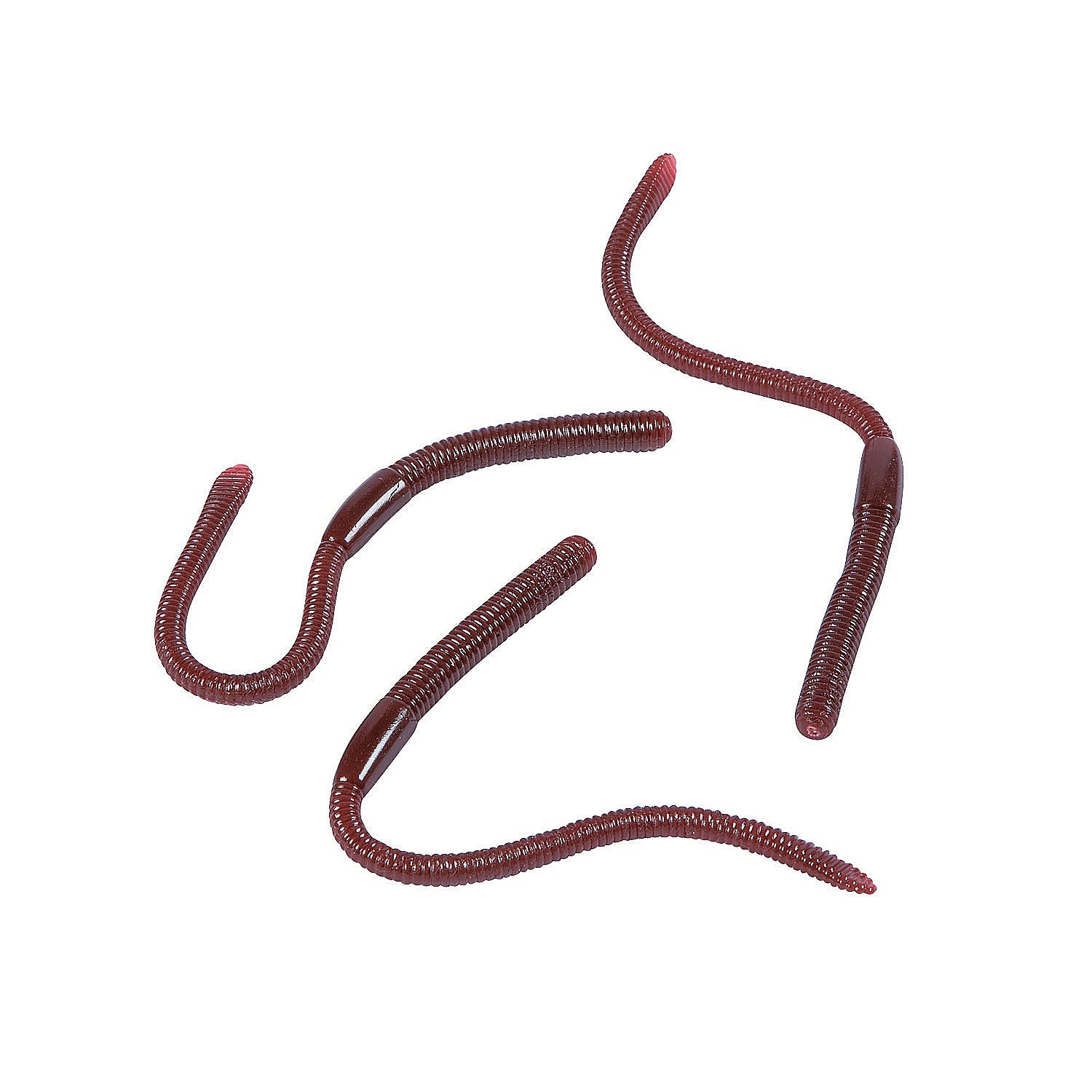 realistic-earthworms_13811188-a01