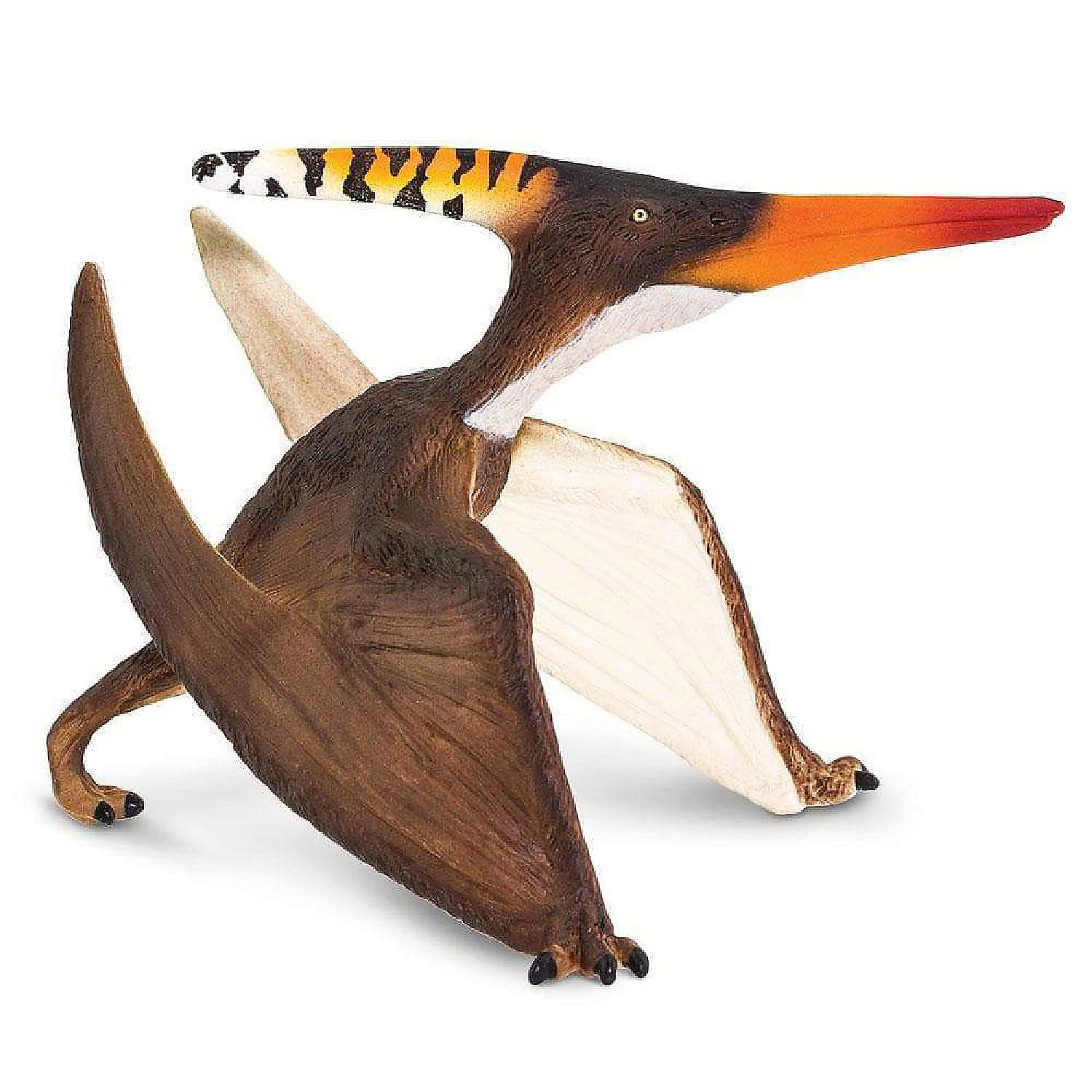 safari-pteranodon_14240169$NOWA$