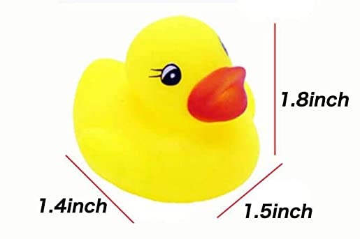 41U8kS71qDL._AC_SX569_