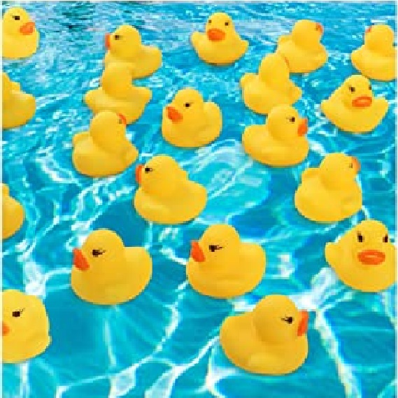 71Jil5ZFC1S._AC_SX569_