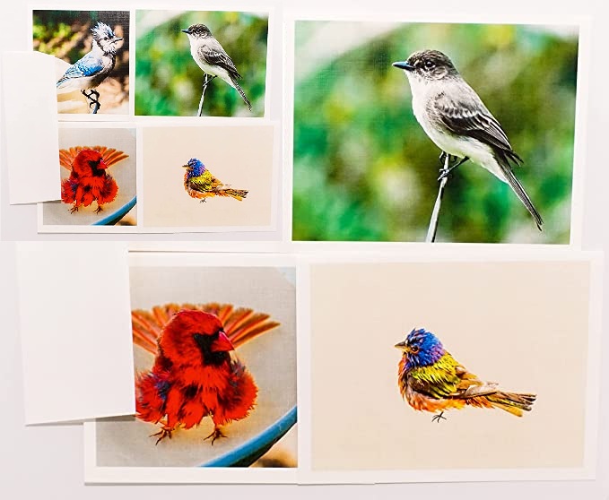 819wlYk6Y6S._AC_SX679_