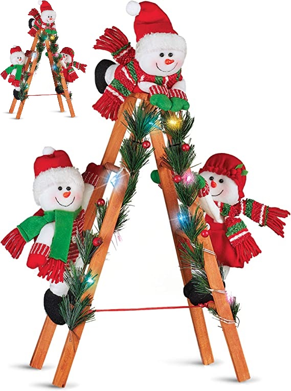 81Qm0hawY5L._AC_SX569_