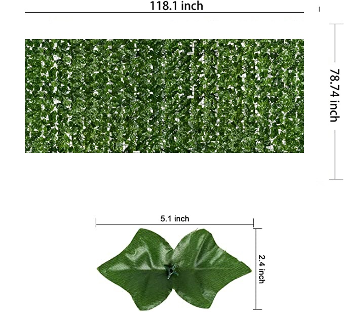 81drQ7ClOfL._AC_SX679_