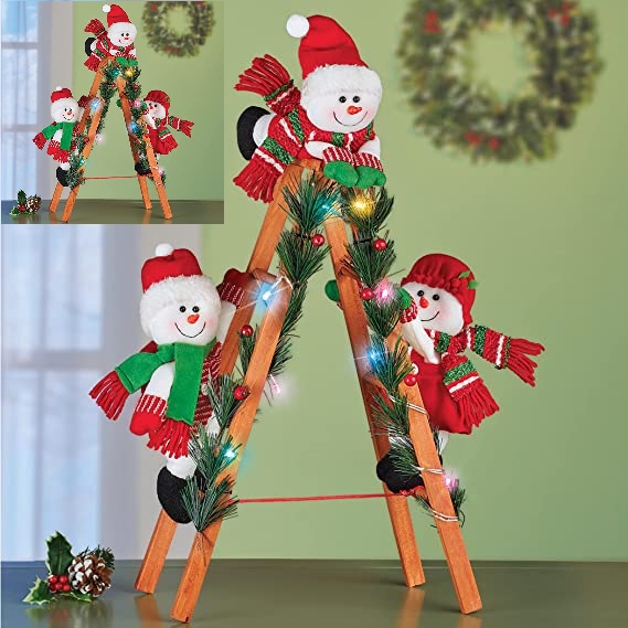 81ggFd+DMhL._AC_SX569_