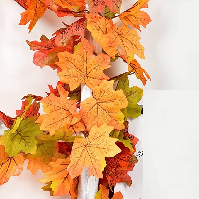 81i2eoHQoQL._AC_SX679_