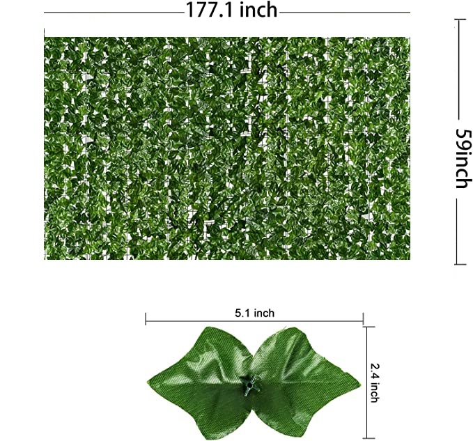 81wMOSRWq+L._AC_SX679_