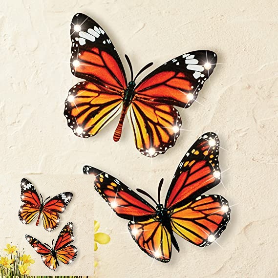 81wN5H2mMAL._AC_SX569_