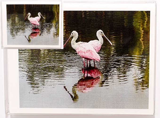 91I60Tylp+L._AC_SX679_