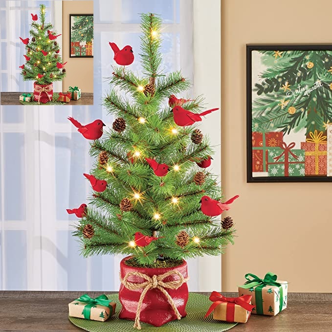 91yO6ExeljL._AC_SX679_