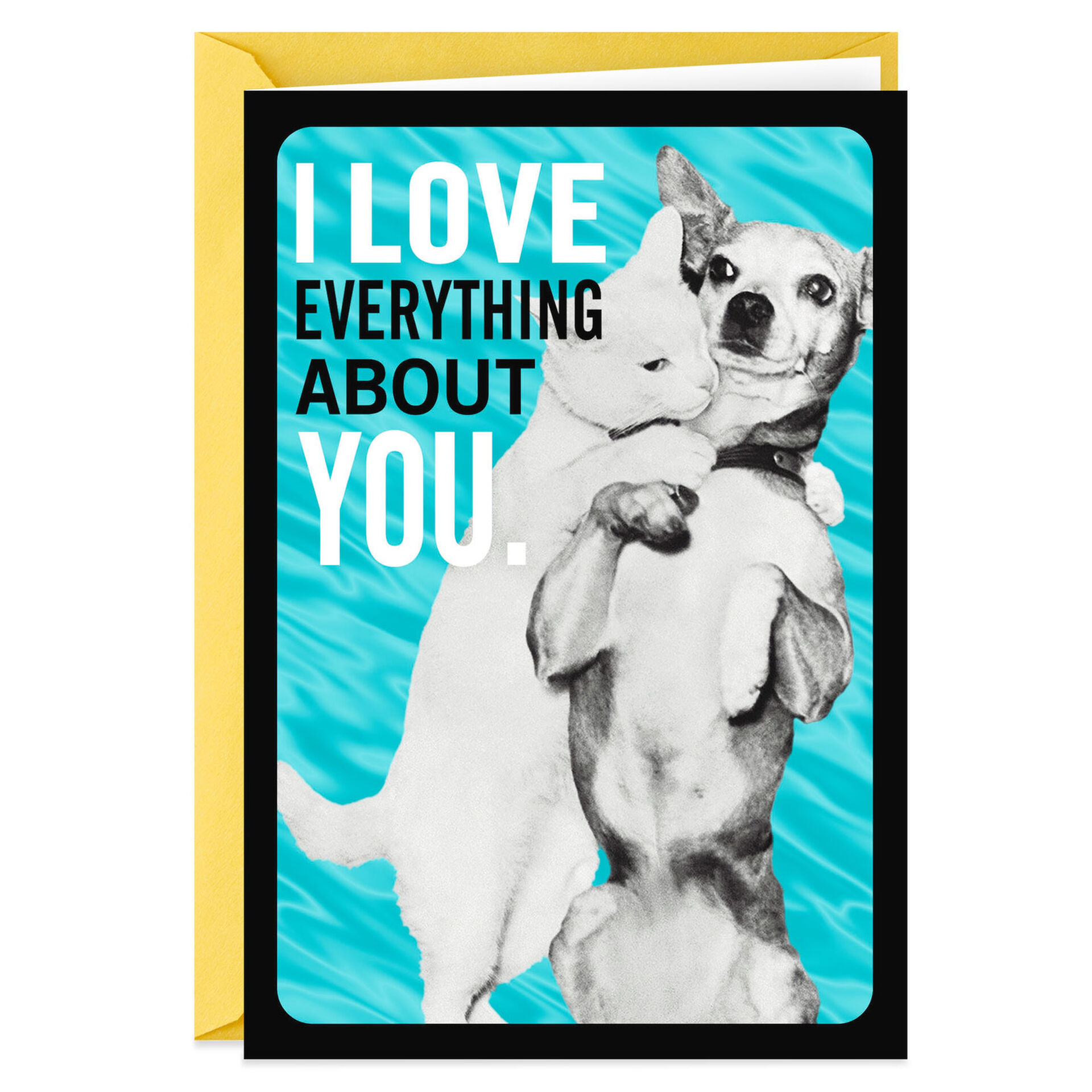 Cat-and-Dog-Anniversary-Card_369ZZS1179_01