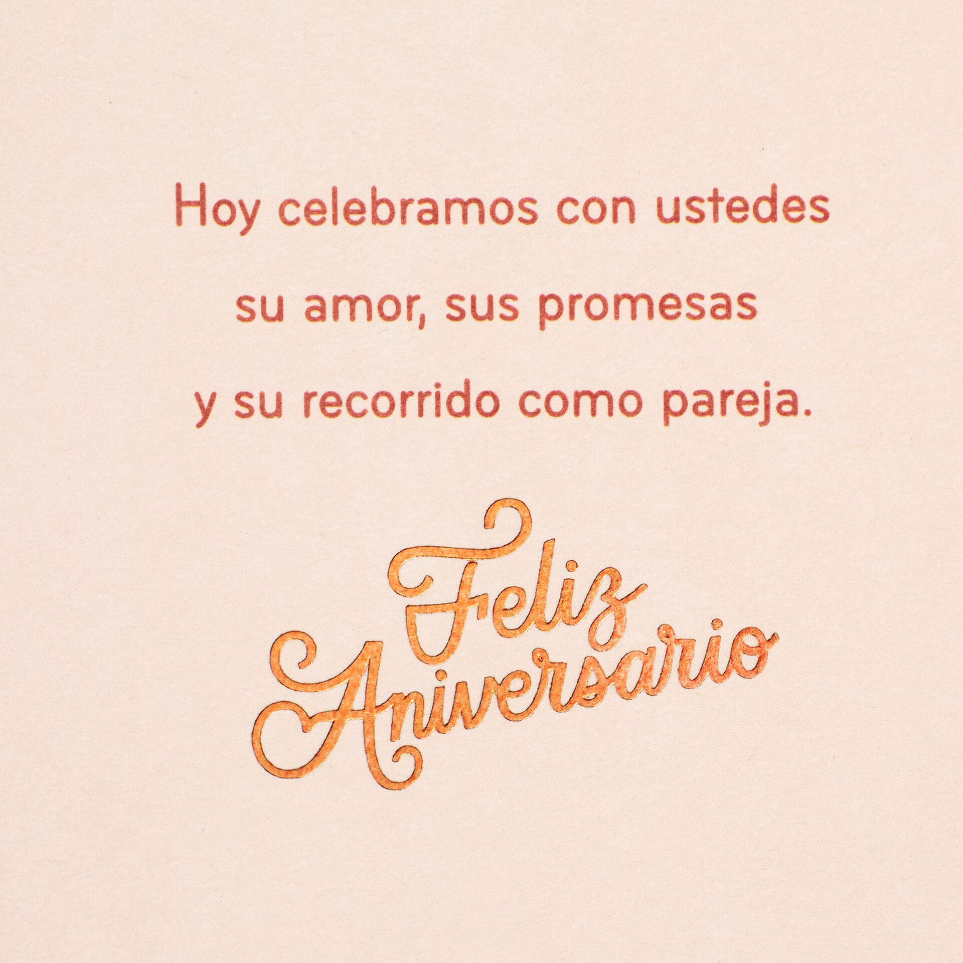 Celebrating-You-Spanish-Anniversary-Card_499AH1290_03