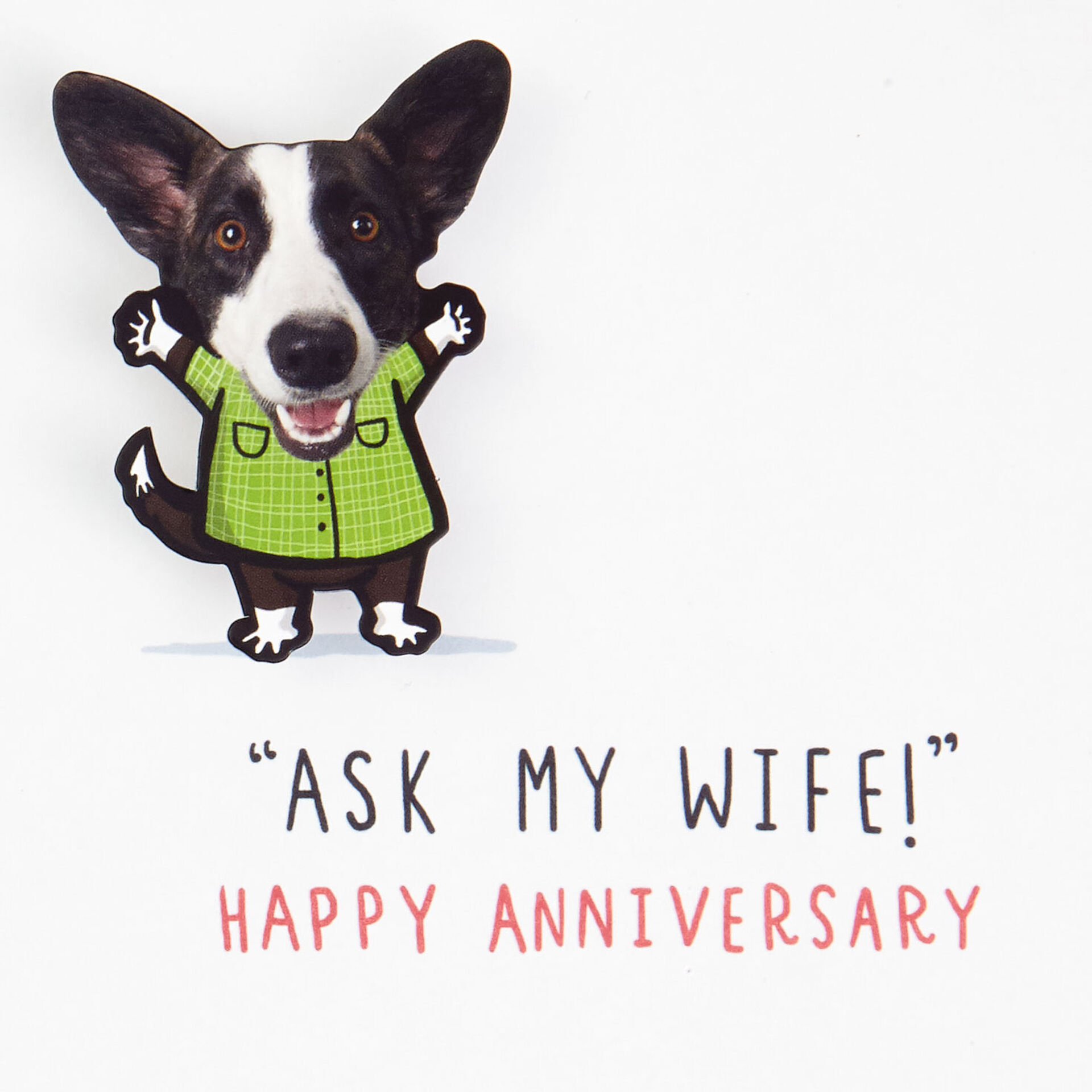 Dog-&-Word-Balloon-Funny-Anniversary-Card-for-Wife_399AVY2926_02