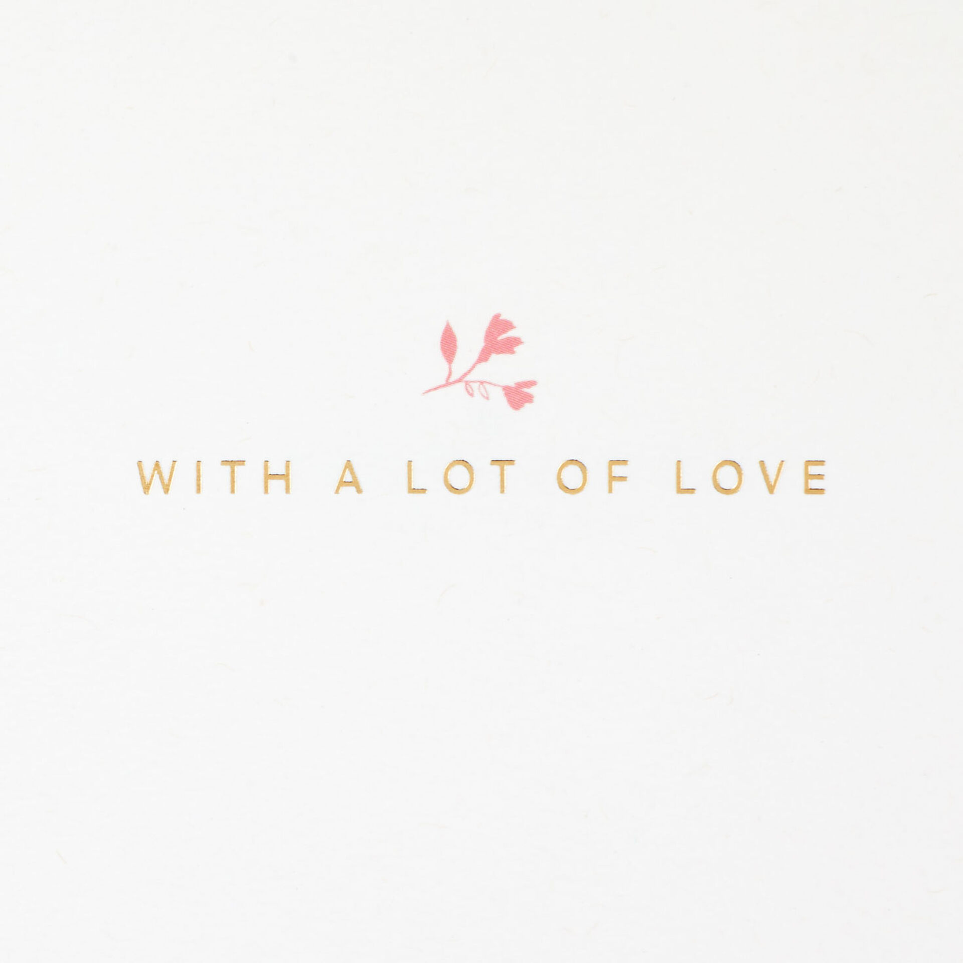 Flower-Cupcake-Birthday-Card-for-Her_599LAD9842_02