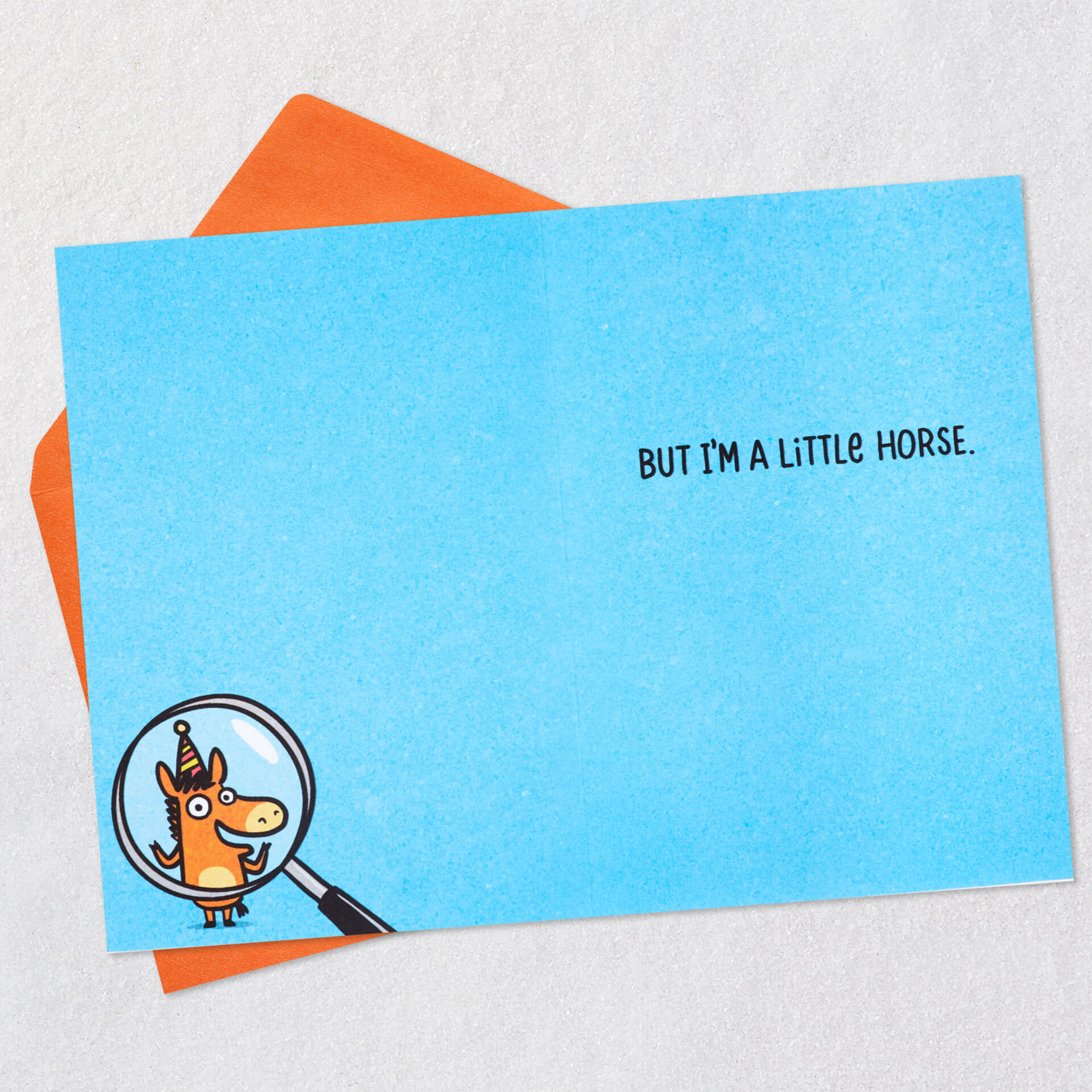 Horse-Pun-Funny-Birthday-Card_369ZZB9877_03