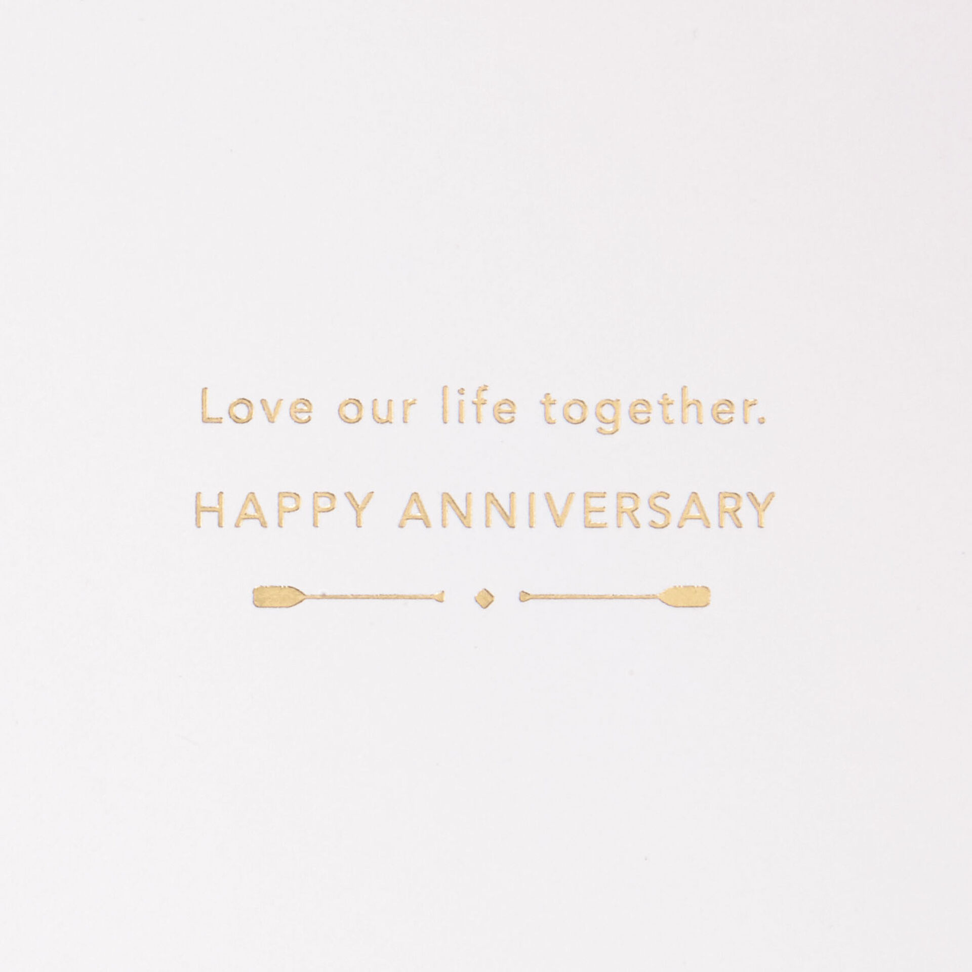 Love-Our-Life-Together-Boat-Oars-Anniversary-Card_799LAD9584_02