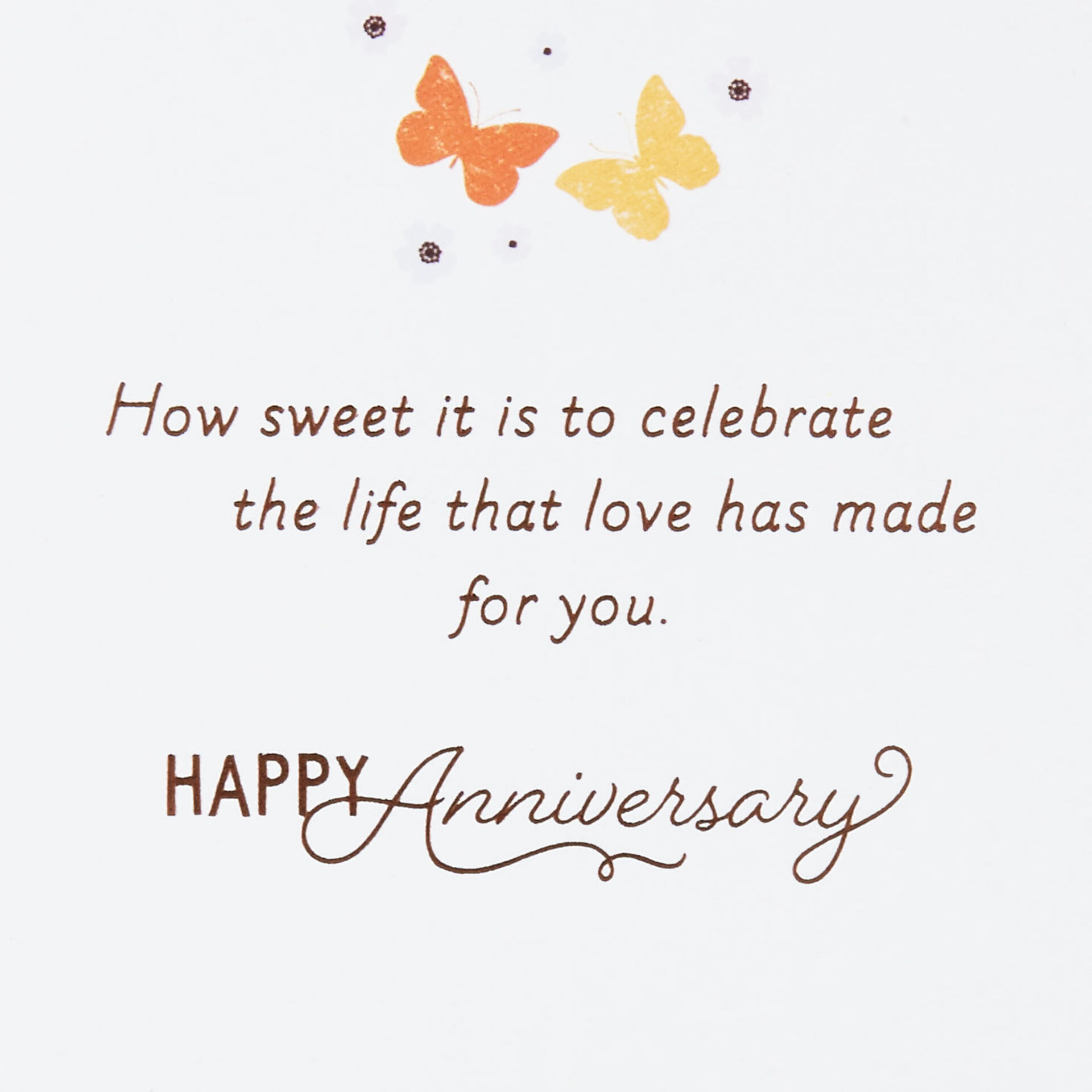 Monarch-Butterflies-and-Flowers-Anniversary-Card_399AVY3053_02