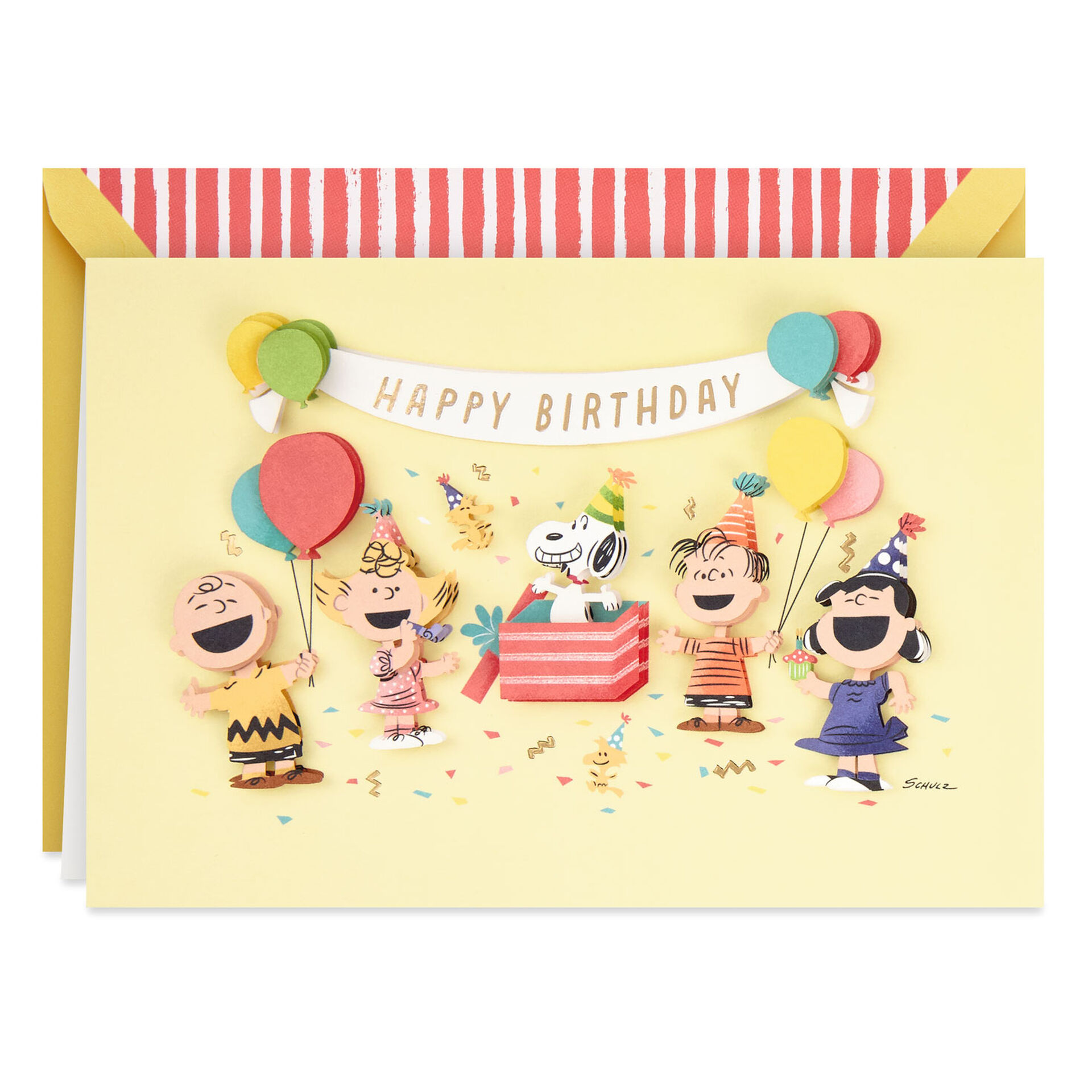 Peanuts-Gang-Surprise-Party-Birthday-Card_799LAD2688_01