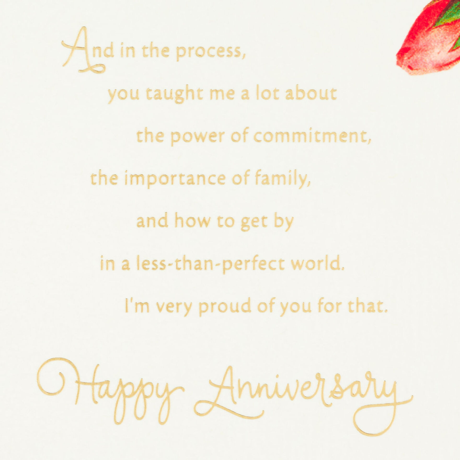 Pink-Flowers-Anniversary-Card-for-Mom-and-Dad_559AVY9957_03