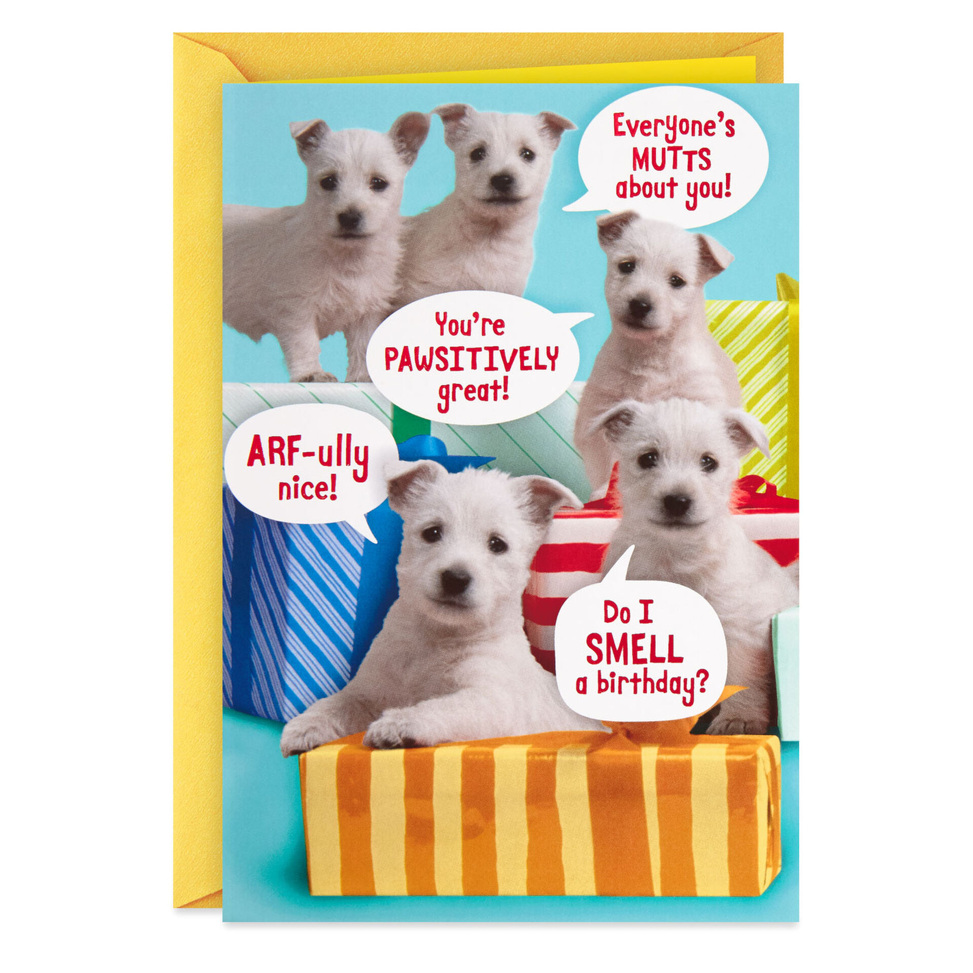 Puppy-Dogs-and-Gifts-Funny-Birthday-Card_200SUV1375_01