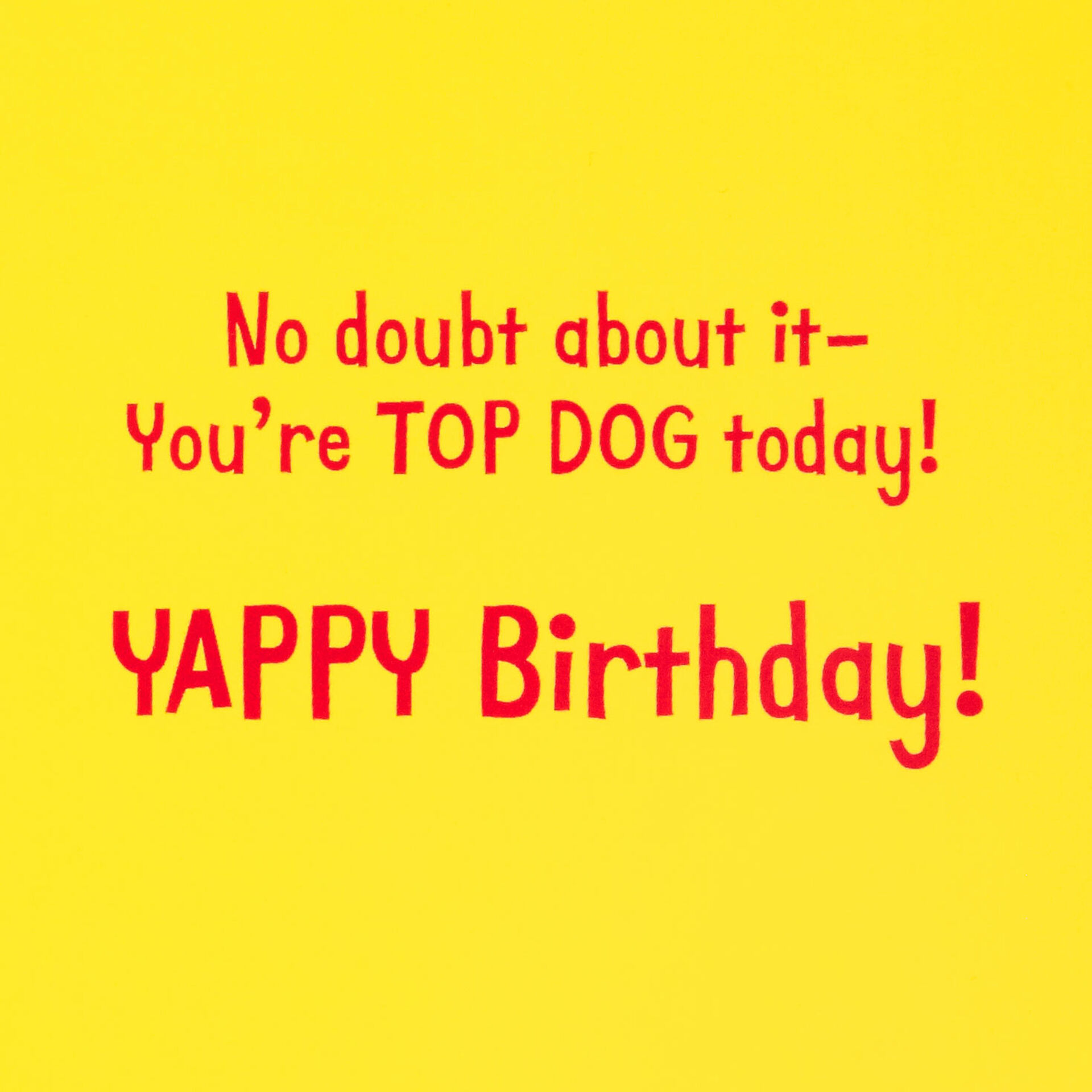 Puppy-Dogs-and-Gifts-Funny-Birthday-Card_200SUV1375_02