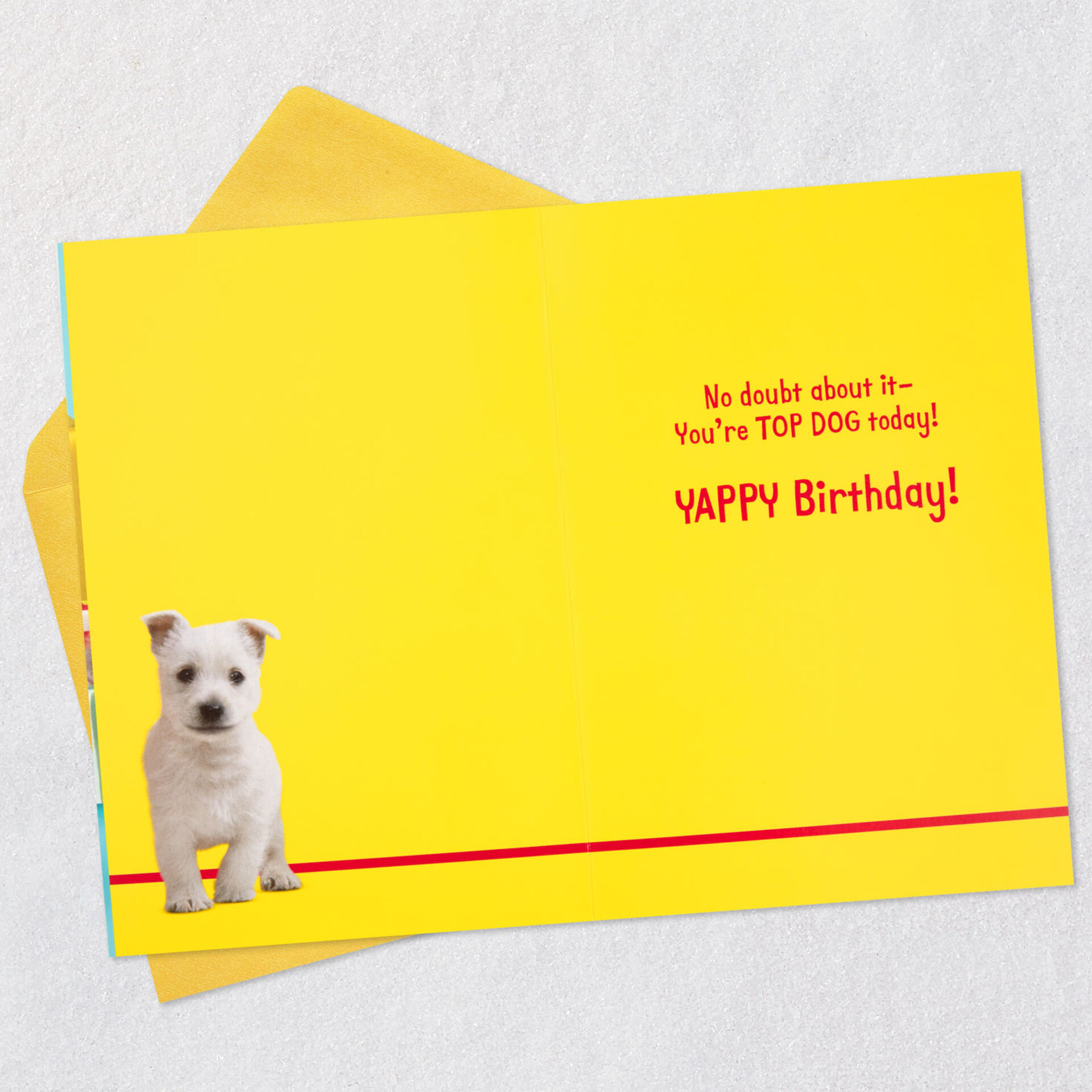 Puppy-Dogs-and-Gifts-Funny-Birthday-Card_200SUV1375_03