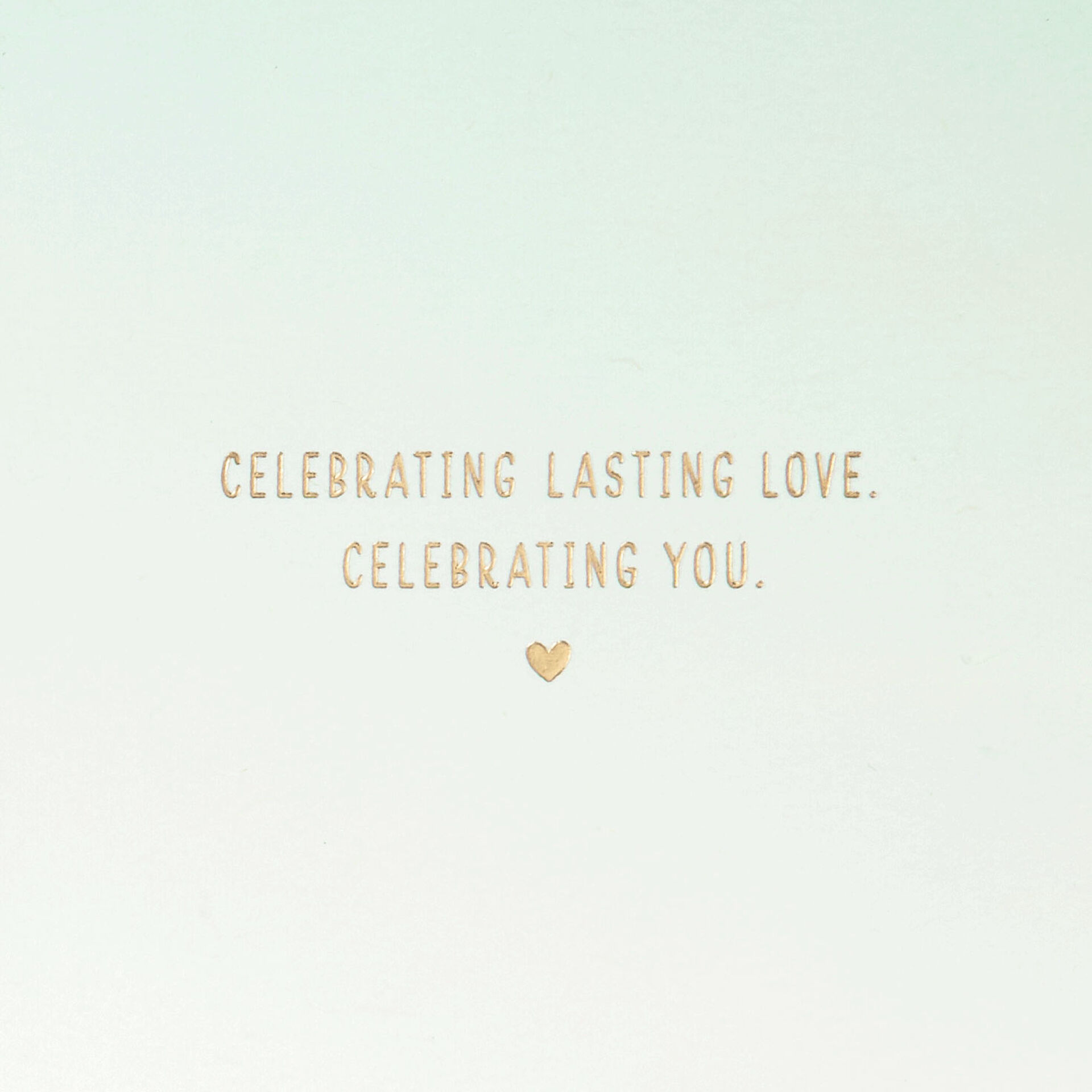 Succulent-Plant-Celebrating-Love-Anniversary-Card_699LAD9578_02