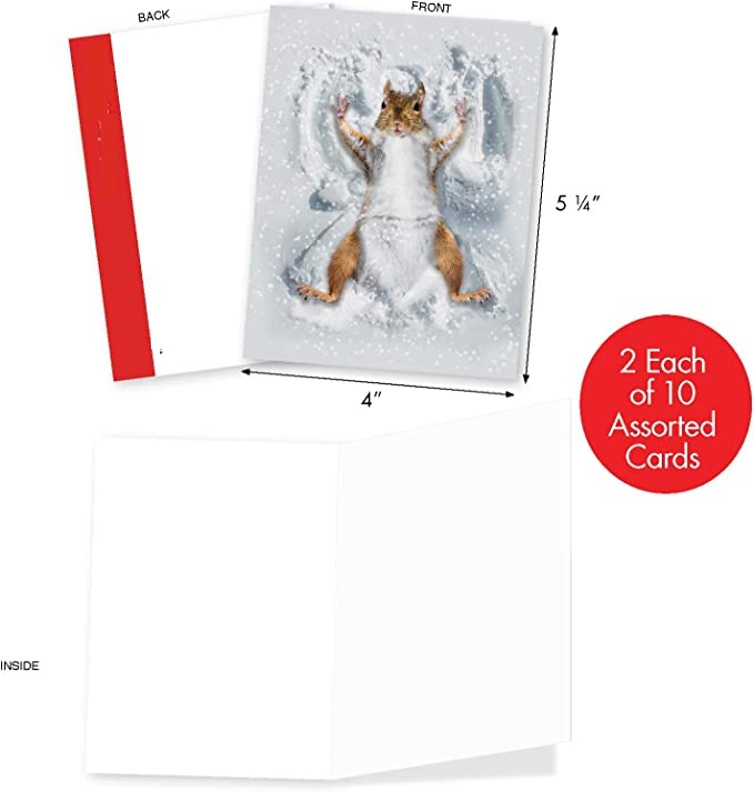 617INkDZEwL._AC_SX679_