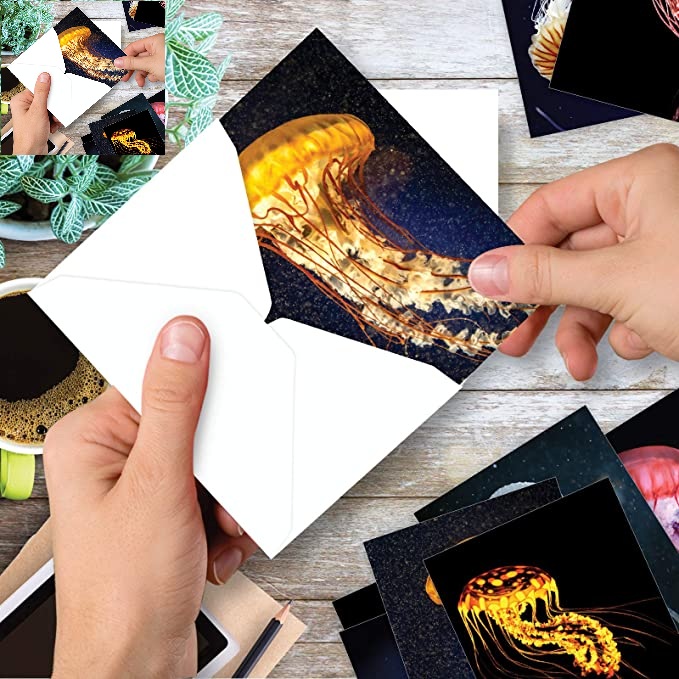 81QYbN+Kq1L._AC_SX679_