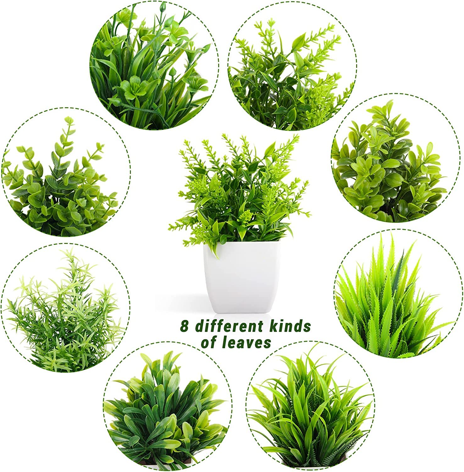 81mXfep2EfL._SL1500_