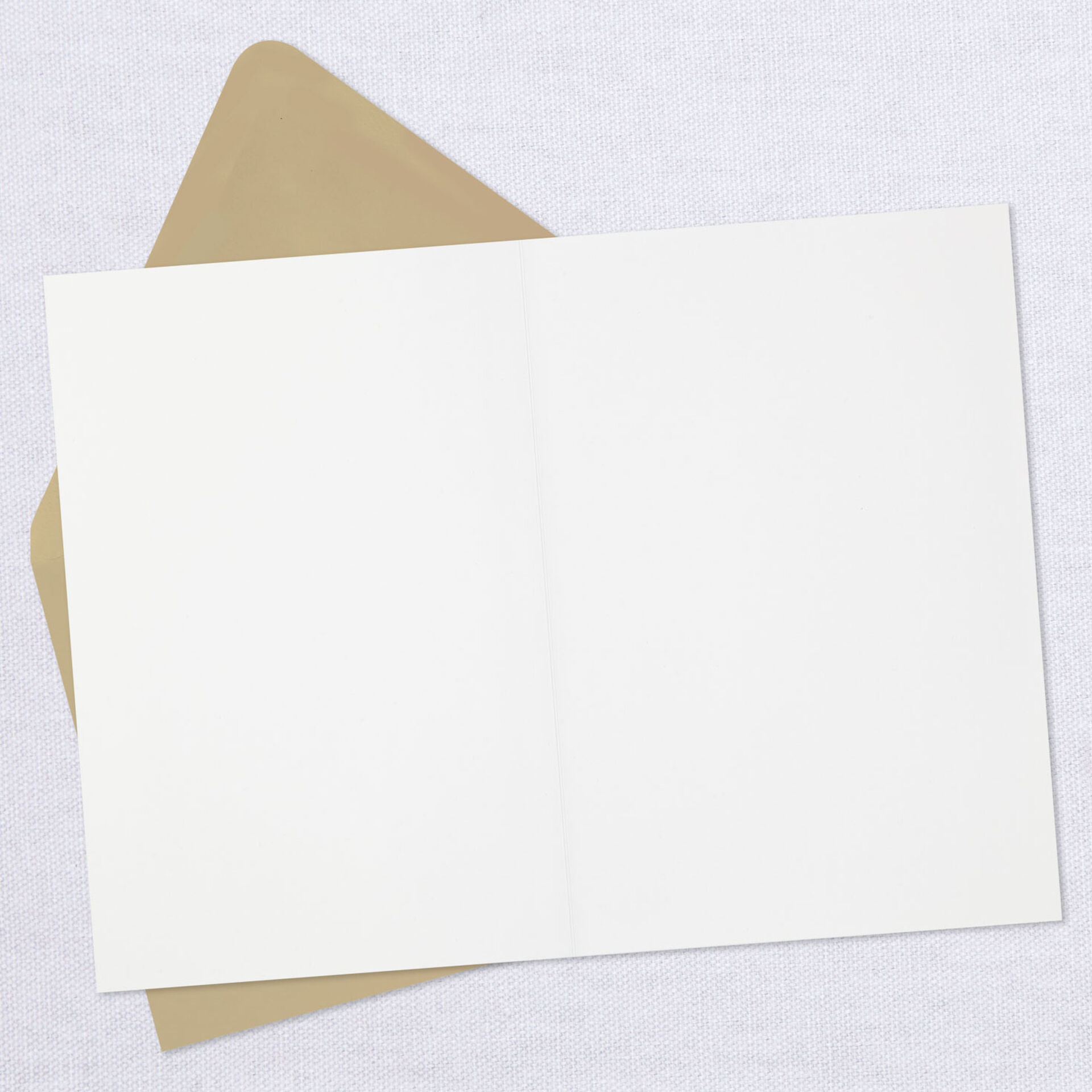 A-Dozen-Dogs-Blank-Card_599LAD9543_02