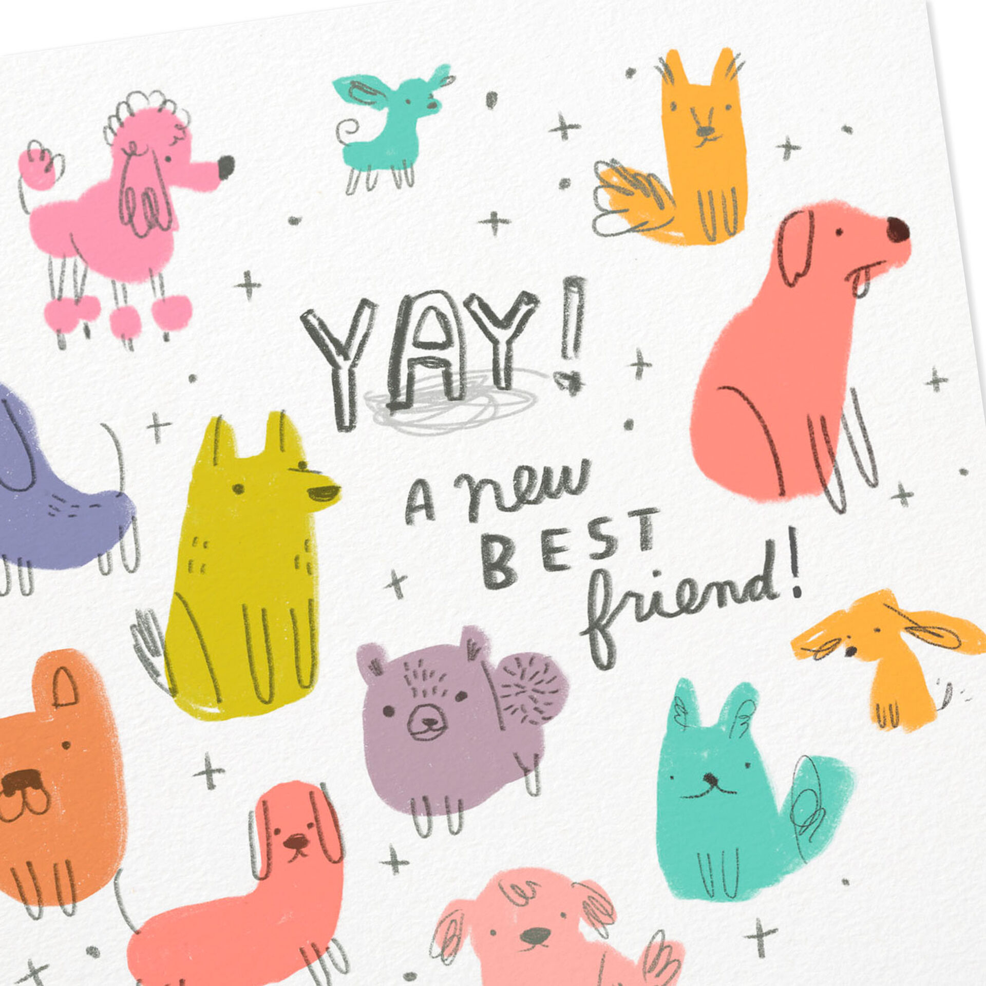 A-New-Best-Dog-Friend-Congratulations-Card_299YYS1419_04