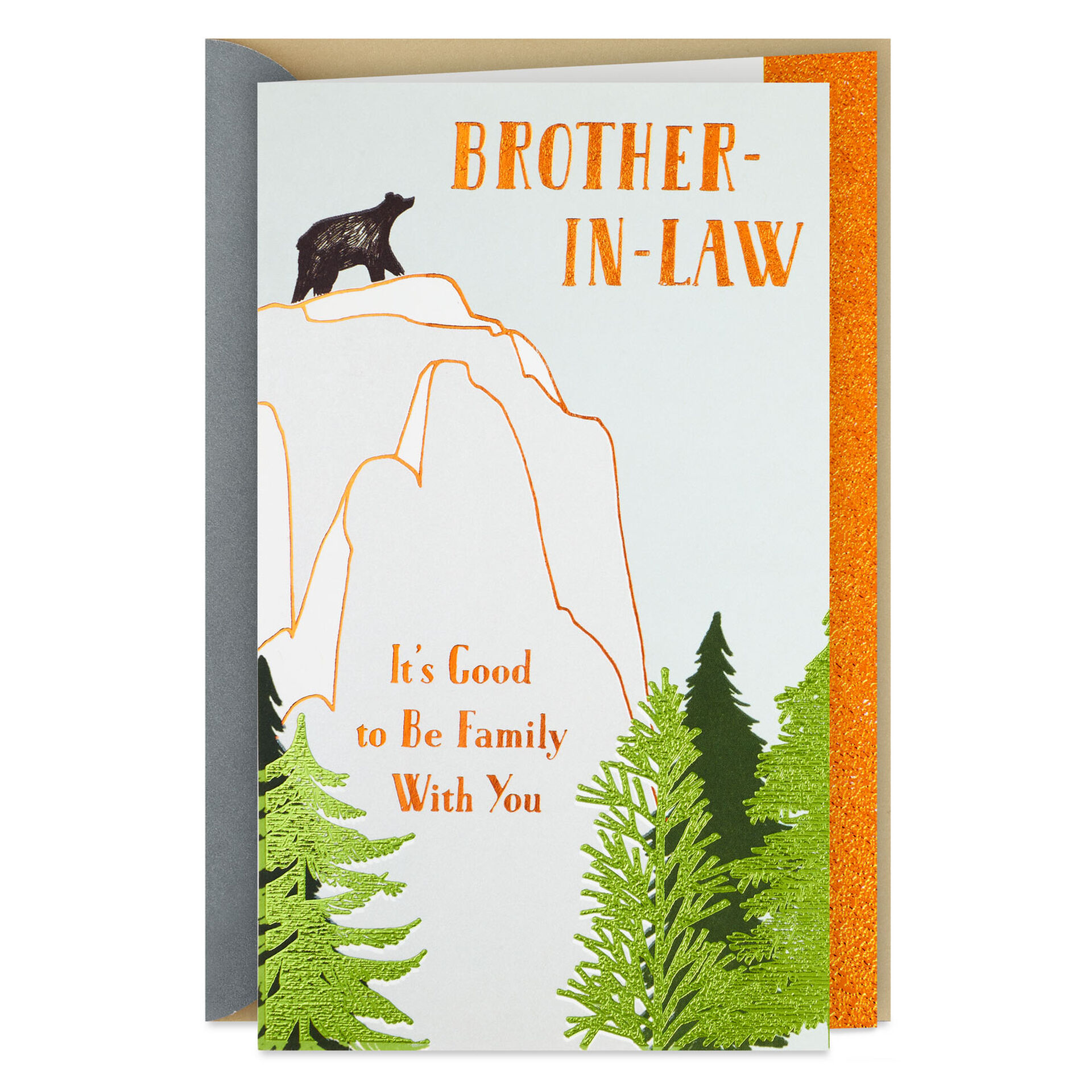 Bear-on-Mountain-BrotherinLaw-Birthday-Card_399MAN3845_01