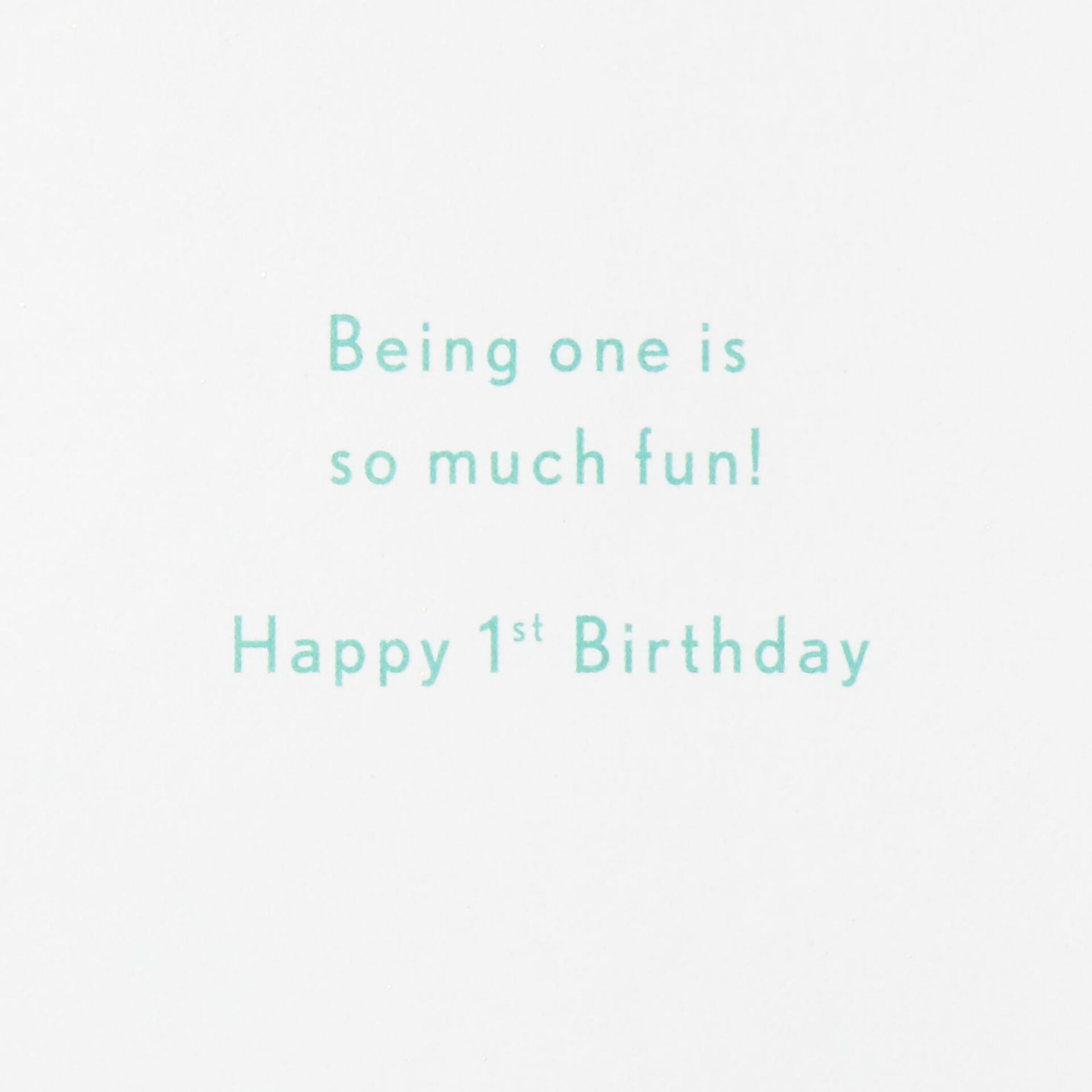 Being-1-Is-Fun-Confetti-First-Birthday-Card_699LAD9870_02