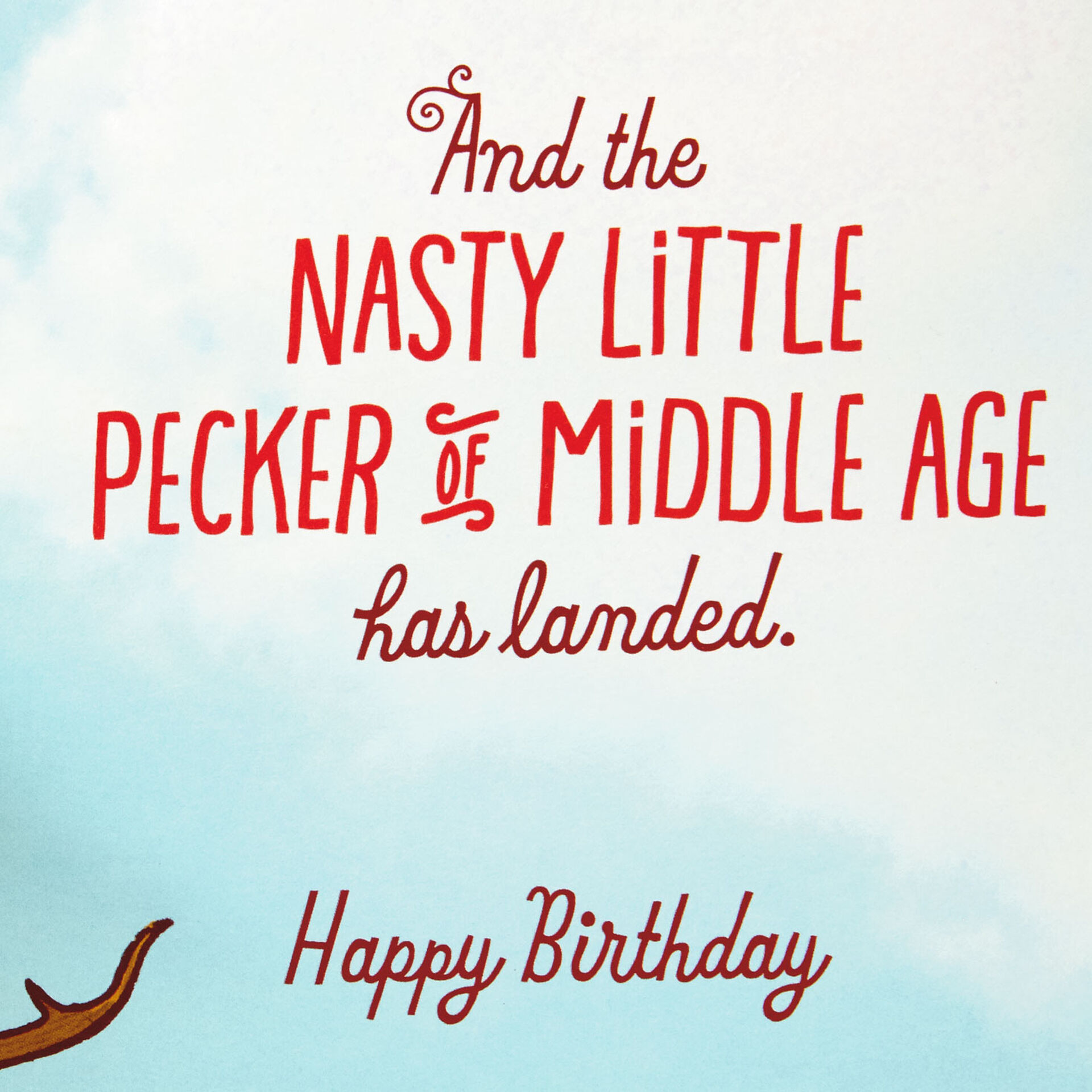 Bird-and-Woodpecker-Funny-PopUp-Birthday-Card_399HBD3516_02