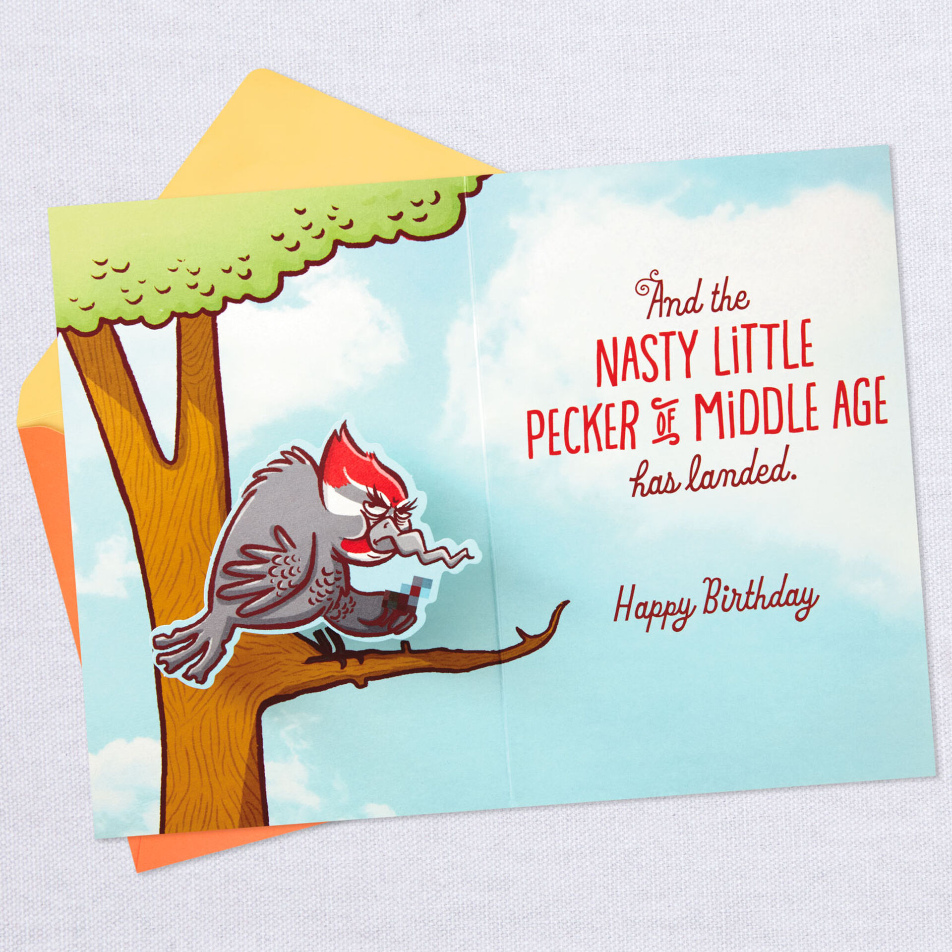 Bird-and-Woodpecker-Funny-PopUp-Birthday-Card_399HBD3516_03