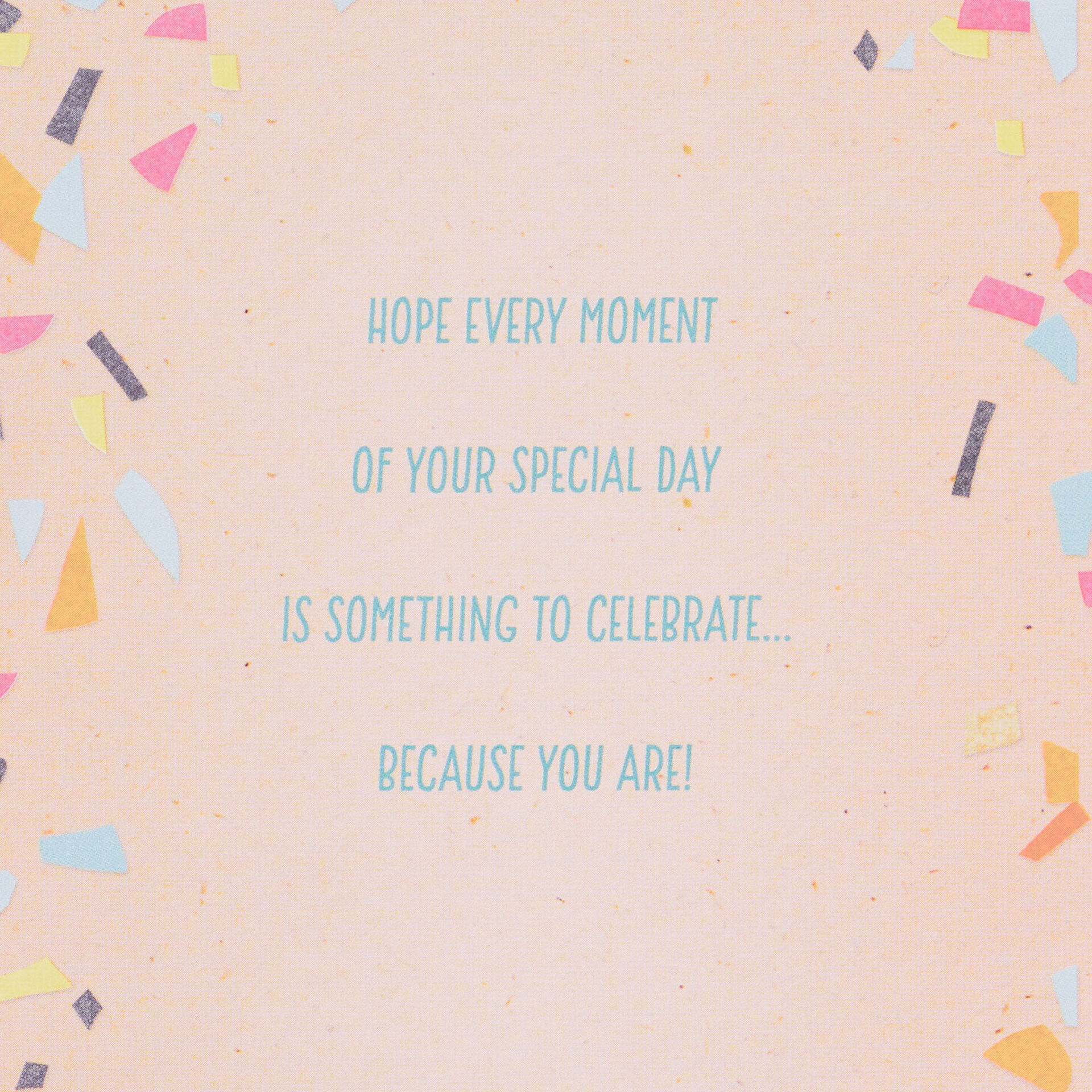 Birthdays-Confetti-of-Life-Birthday-Card_699HBD3219_02