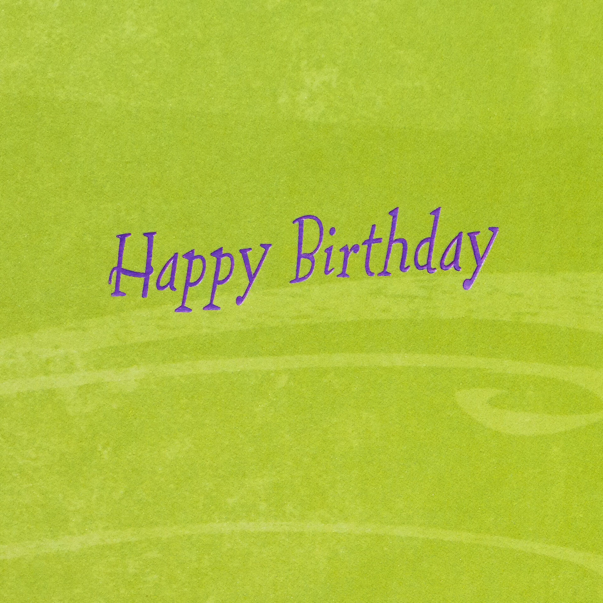 Butterfly-Gems-and-Ribbon-Birthday-Card_799HBD3709_02
