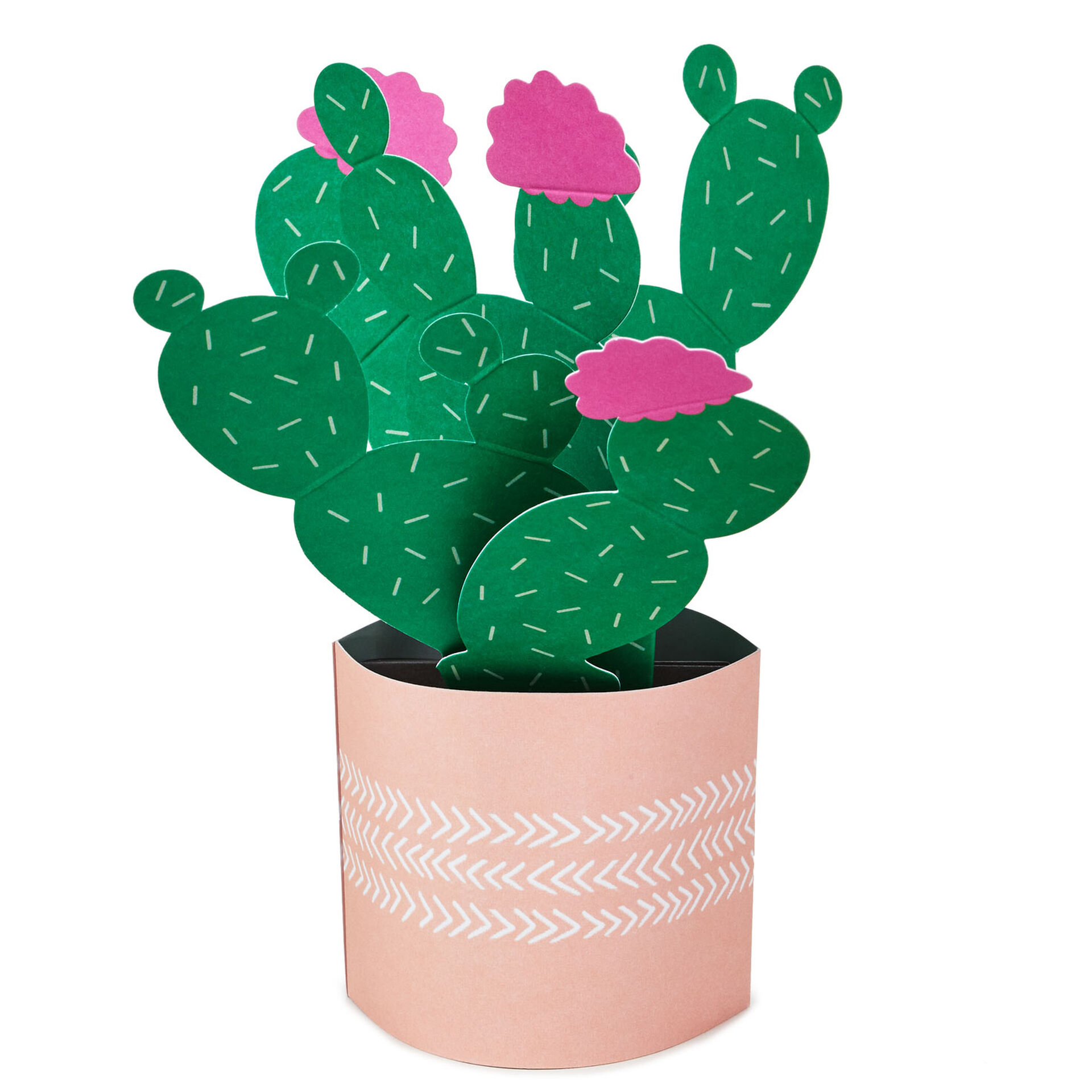 Cactus-Pop-Plant-3D-PopUp-Card_699WDR1198_02