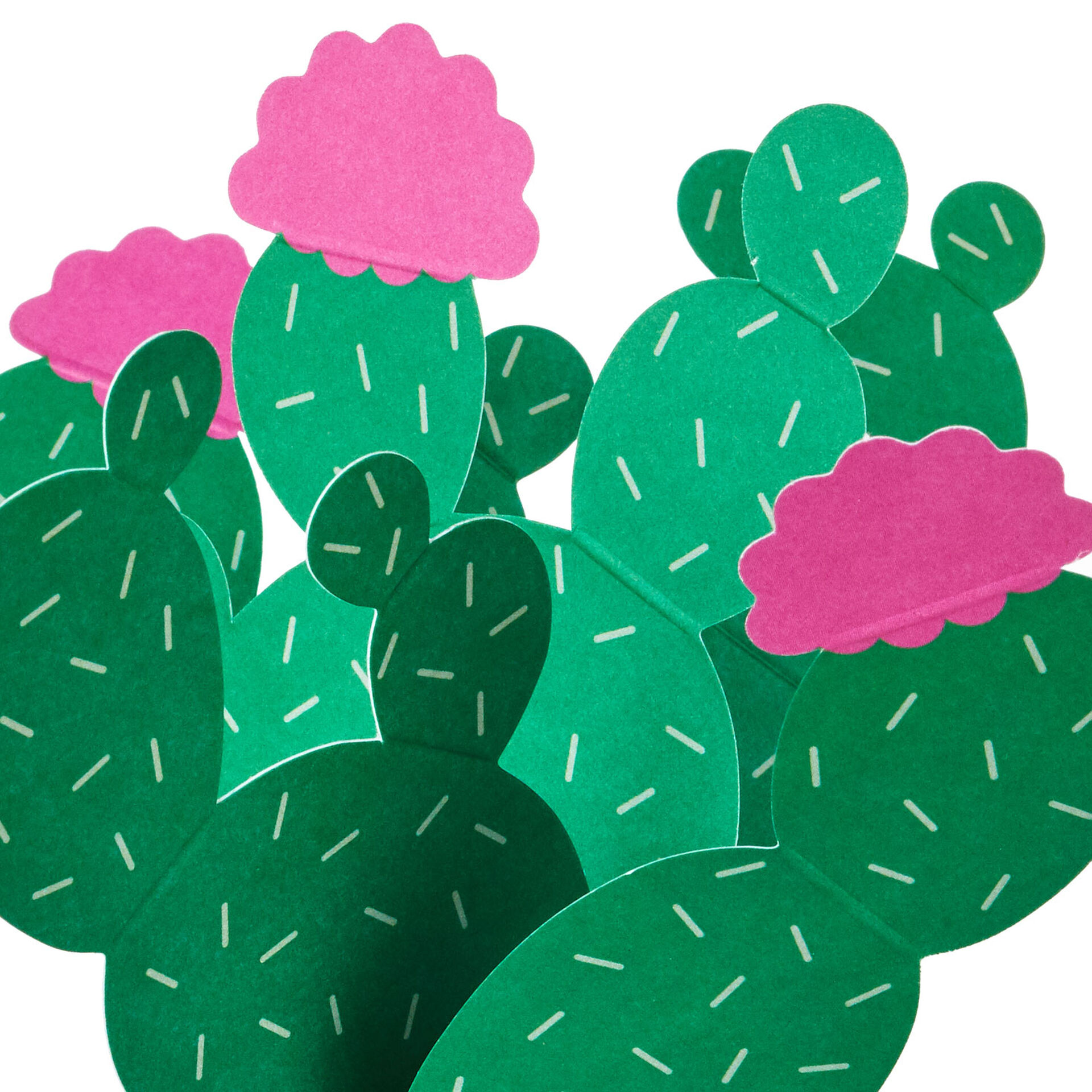Cactus-Pop-Plant-3D-PopUp-Card_699WDR1198_03