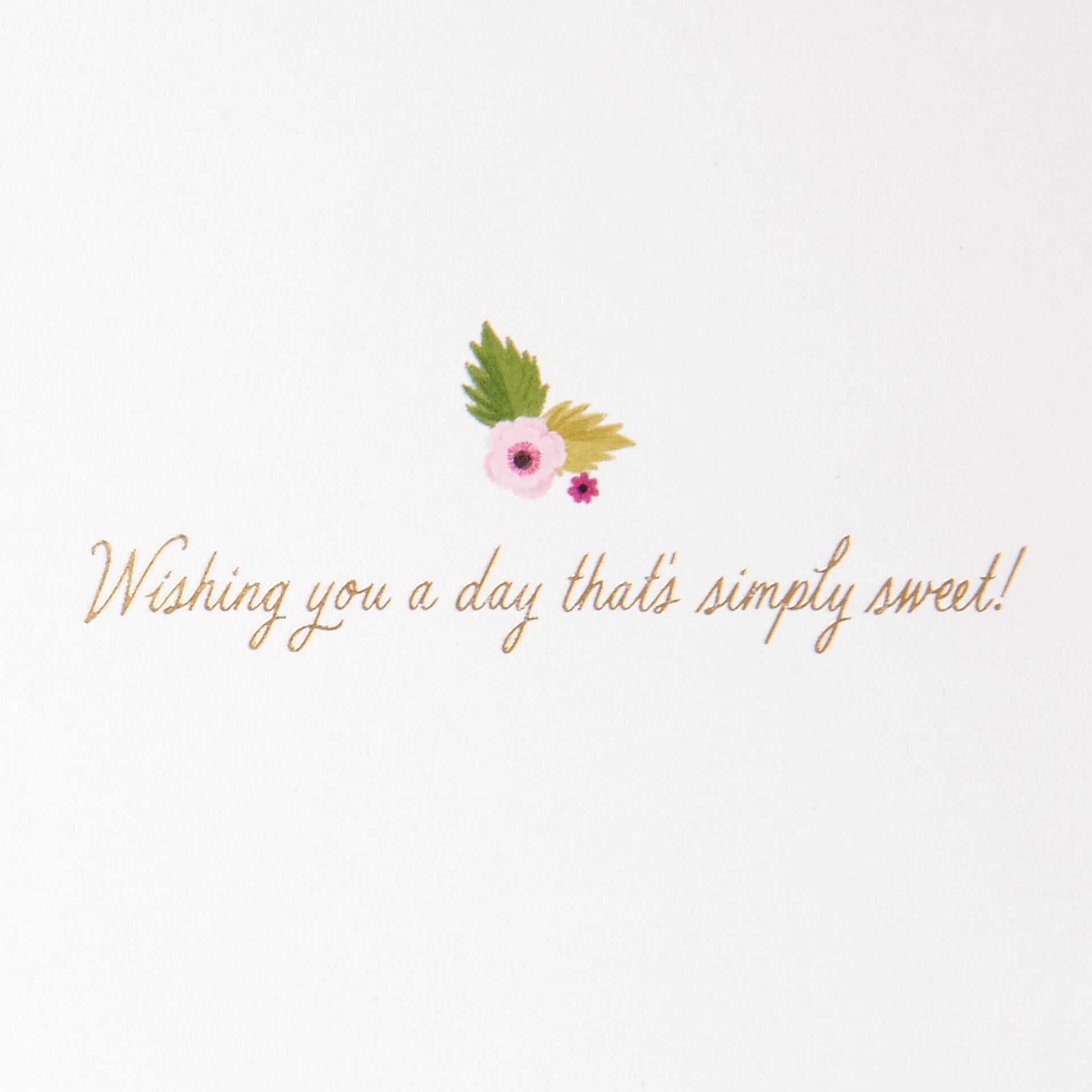 Cake-Bakery-Window-Birthday-Card_899LAD9478_02