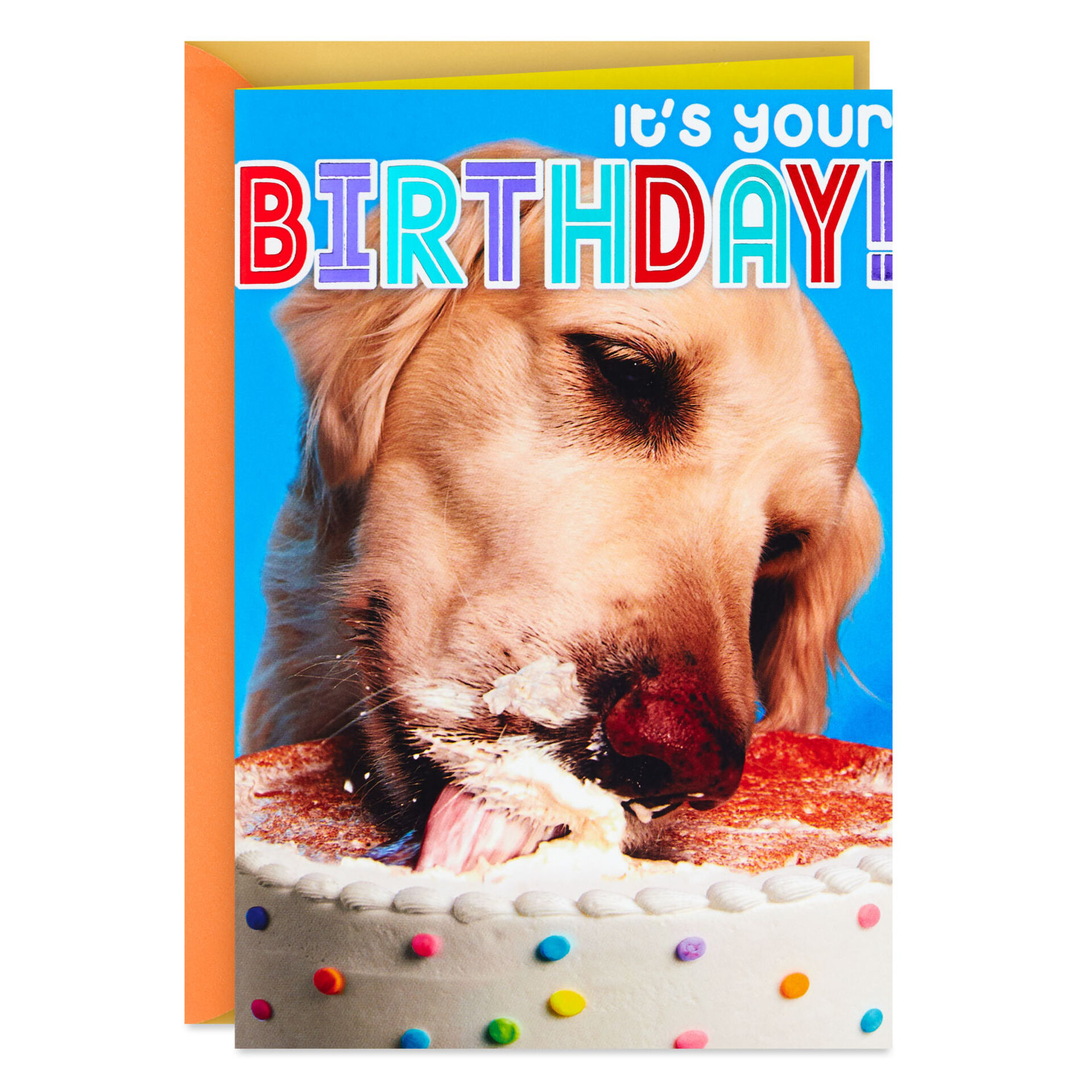 CakeEating-Dog-Funny-Birthday-Card_299HBD9631_01