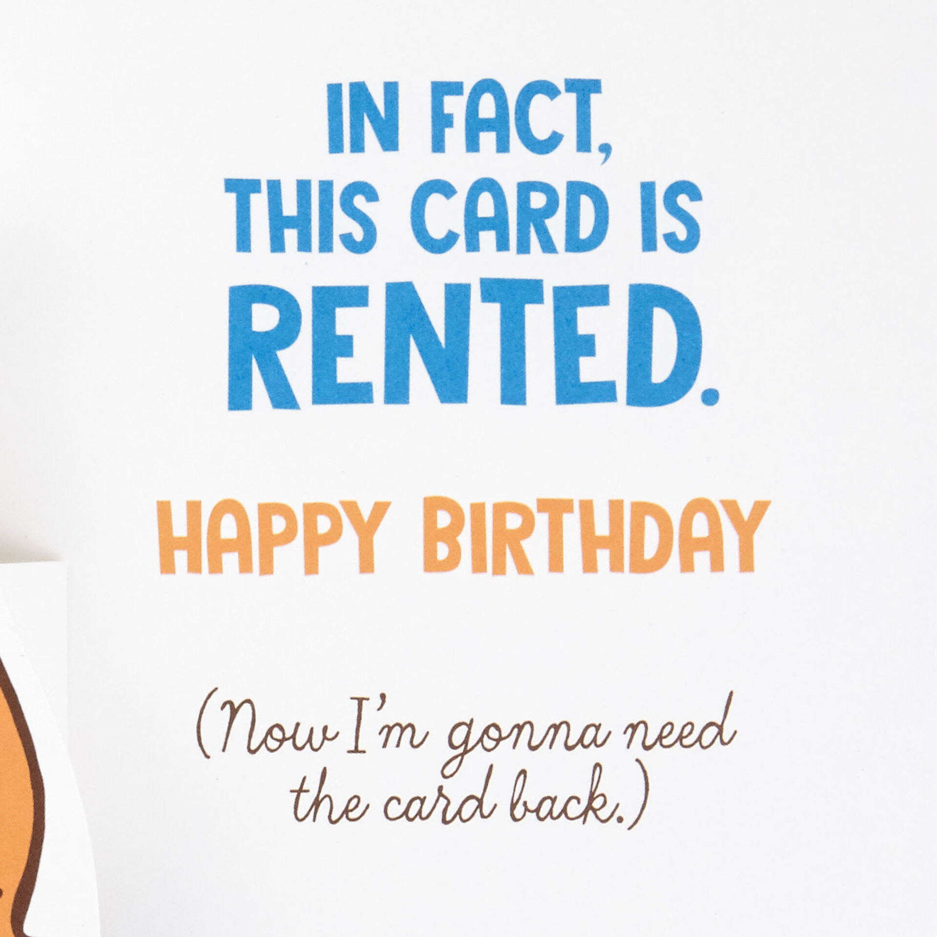 Cartoon-Bear-Funny-PopUp-Birthday-Card_399HBD3194_02