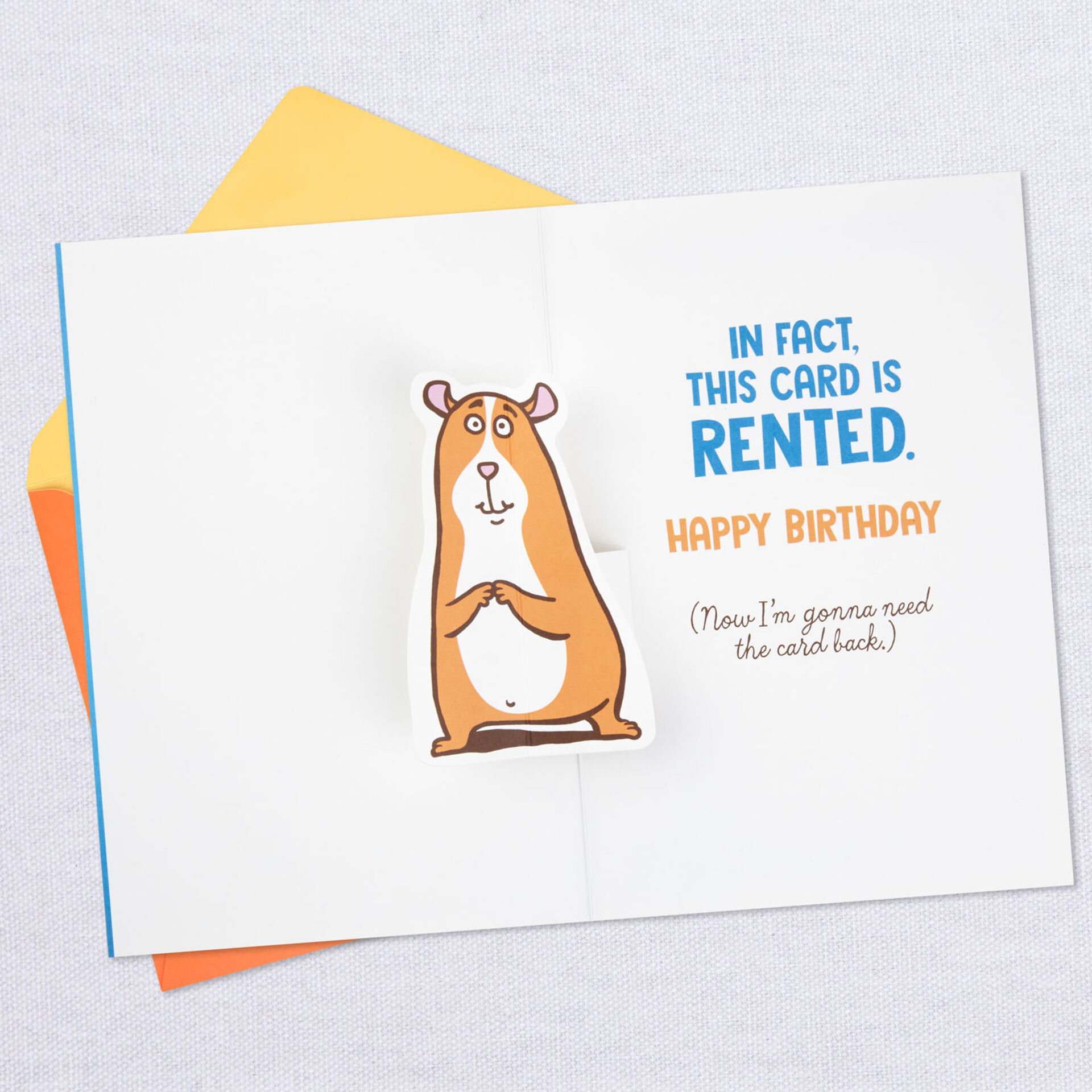 Cartoon-Bear-Funny-PopUp-Birthday-Card_399HBD3194_03