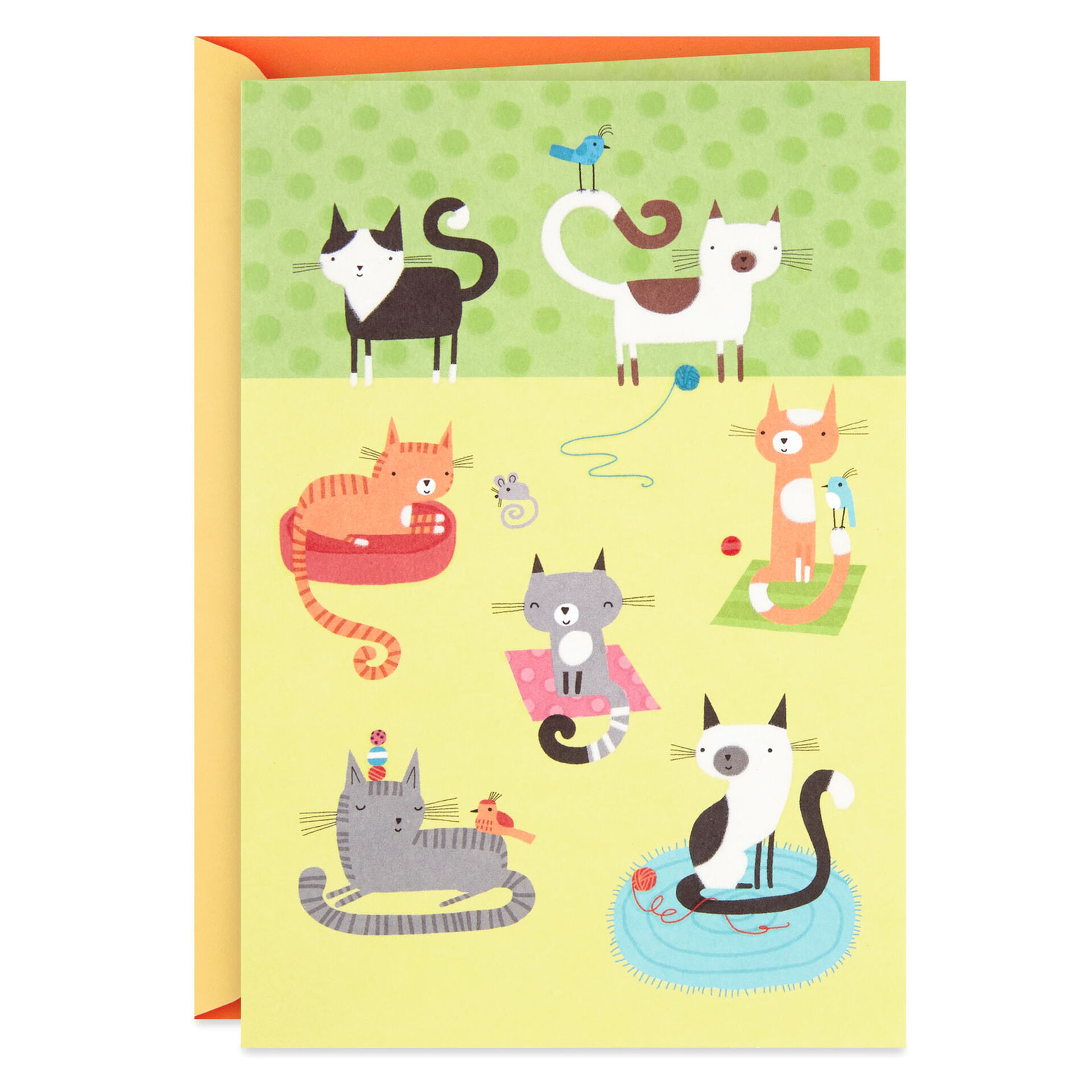 Cat-Party-Blank-Card_399IMP1757_01