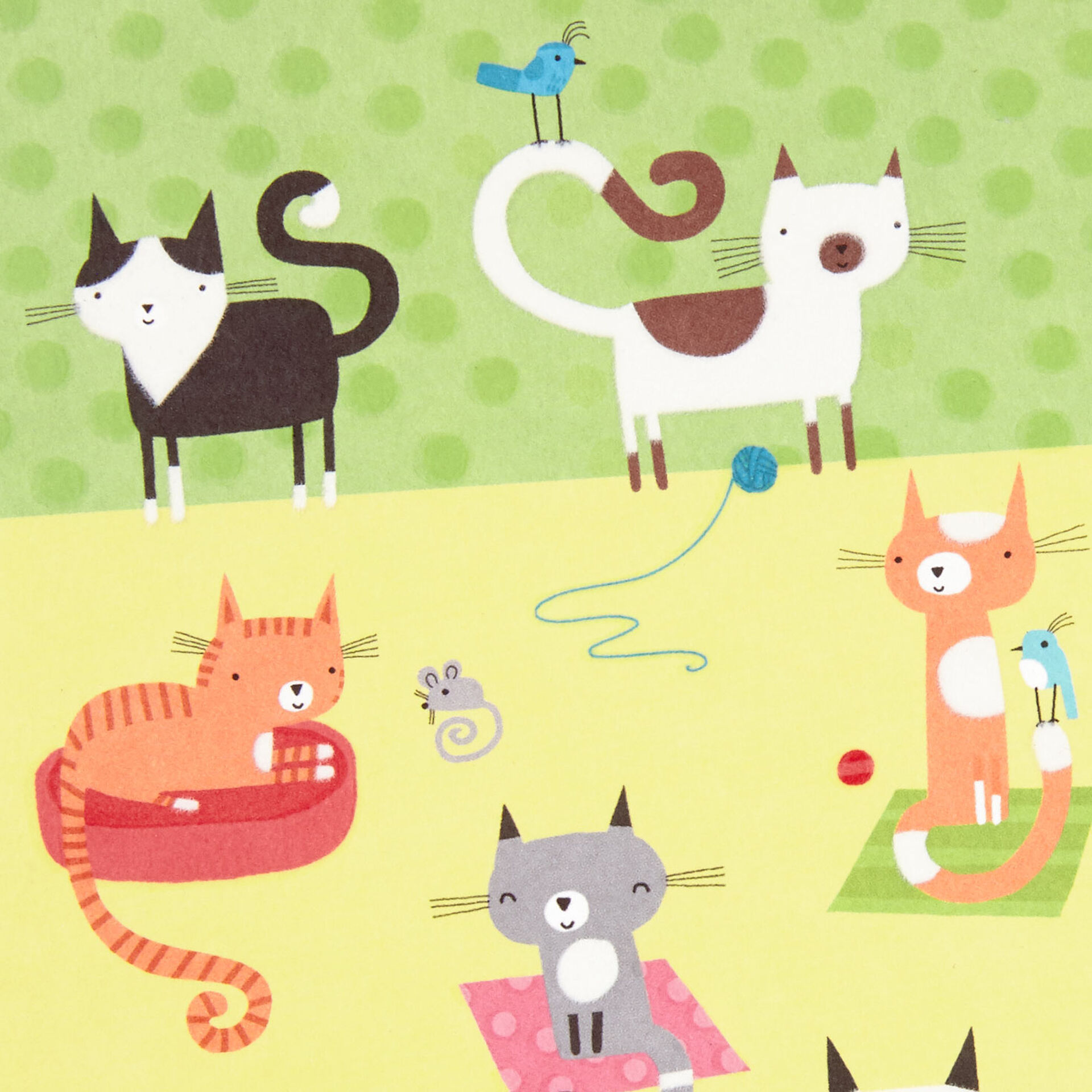 Cat-Party-Blank-Card_399IMP1757_03