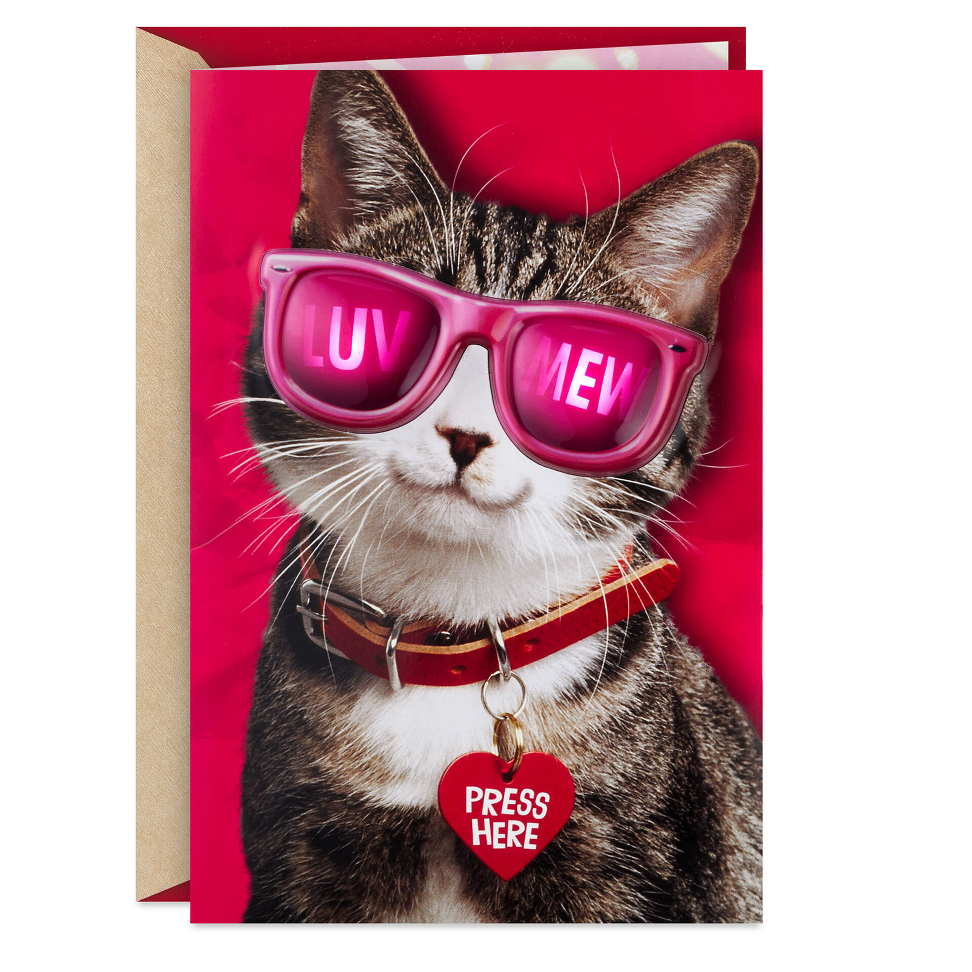 Cat-in-LightUp-Sunglasses-Funny-Valentines-Day-Card_899VAY3013_01