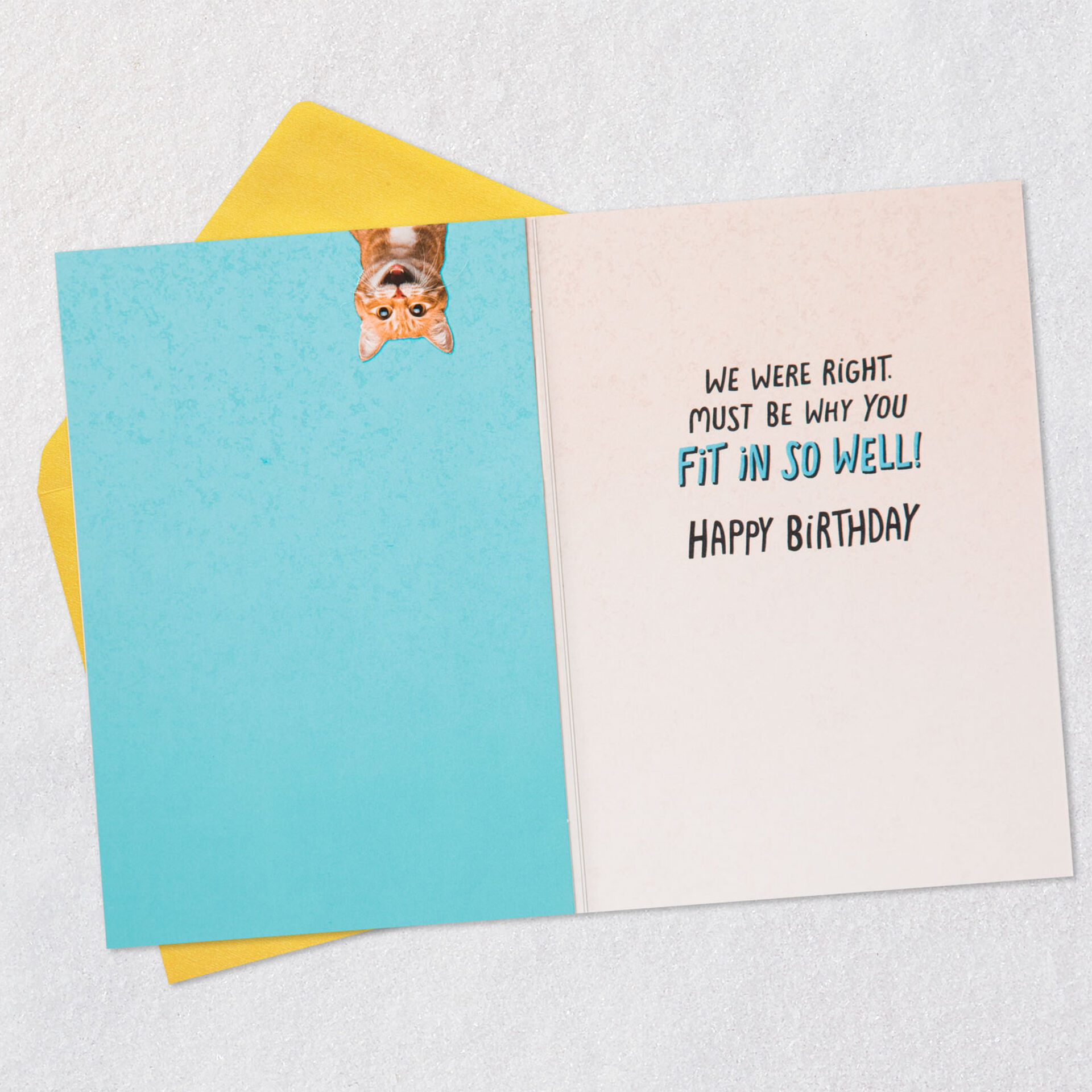 Cats-Funny-Birthday-Card-for-SoninLaw_299MAN4145_03